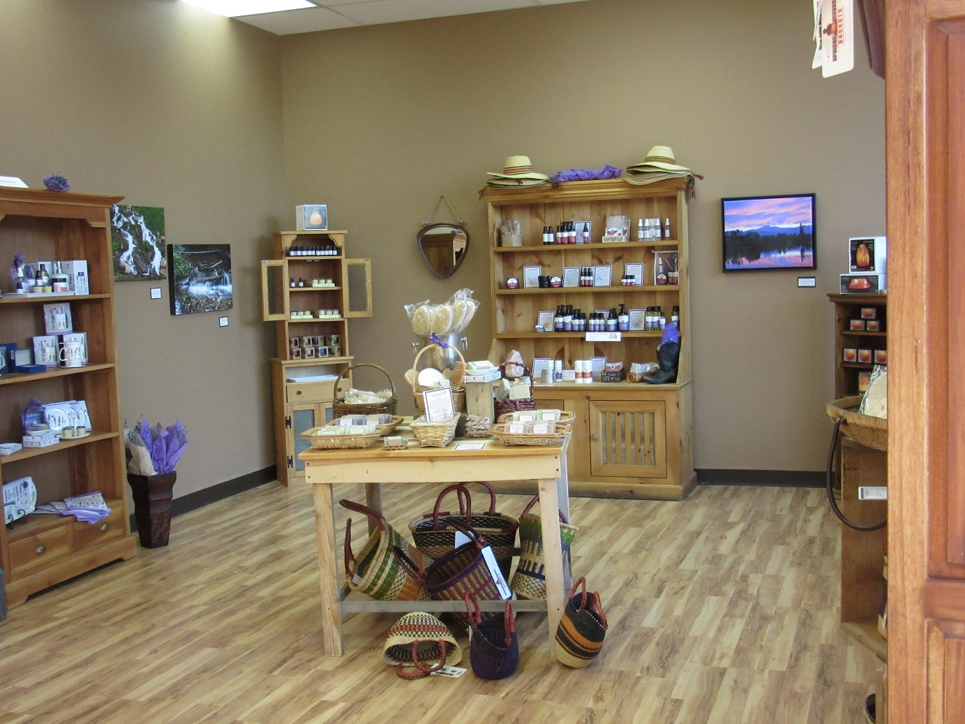 Meet Cindy Jones - CanvasRebel Magazine