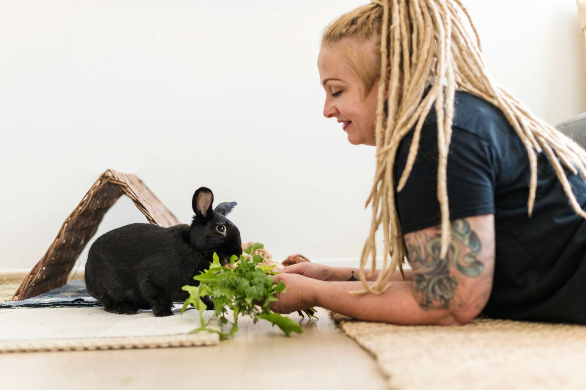 Michelle rabbit