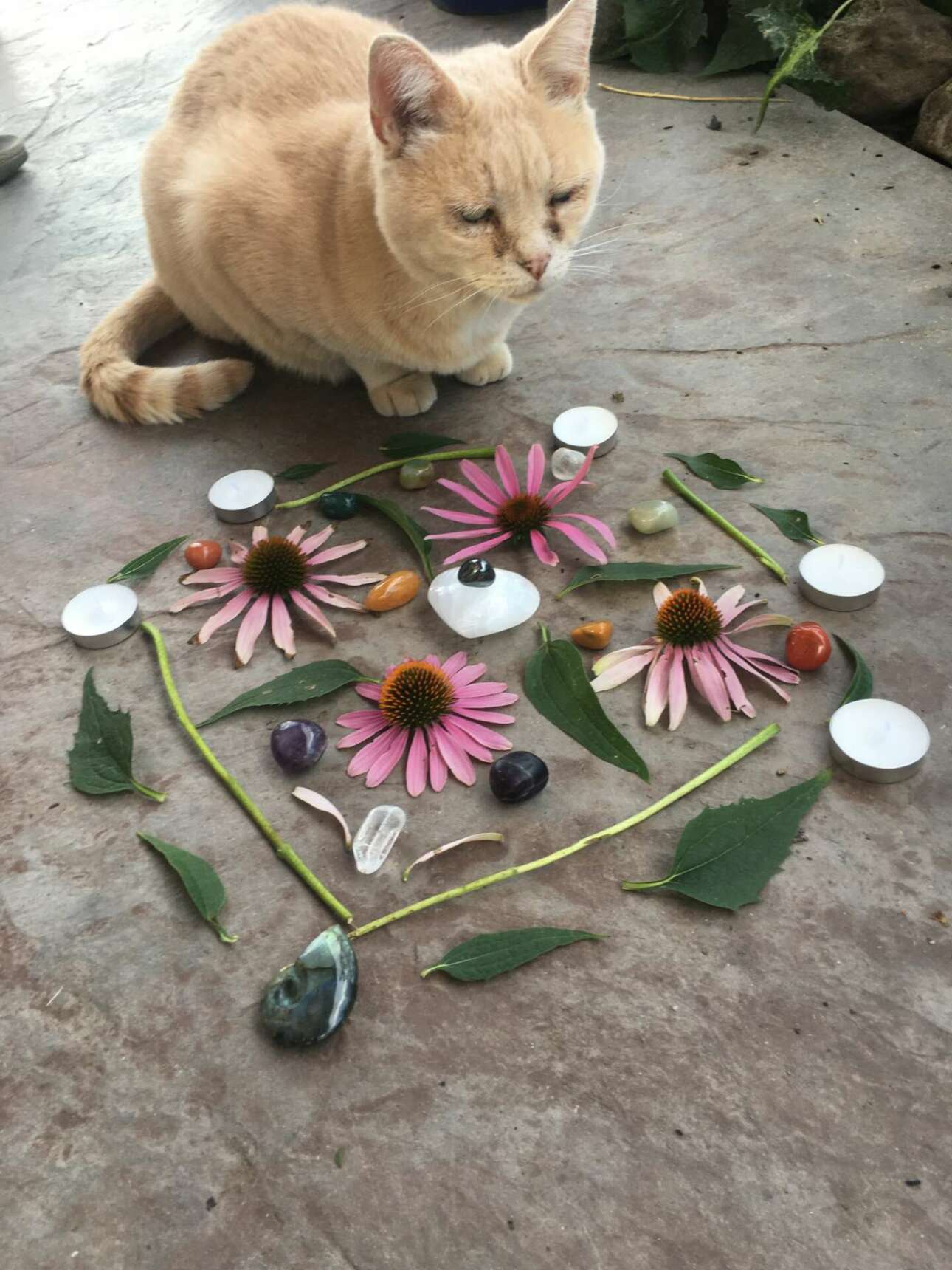 Meet Kara Daniels CanvasRebel Magazine