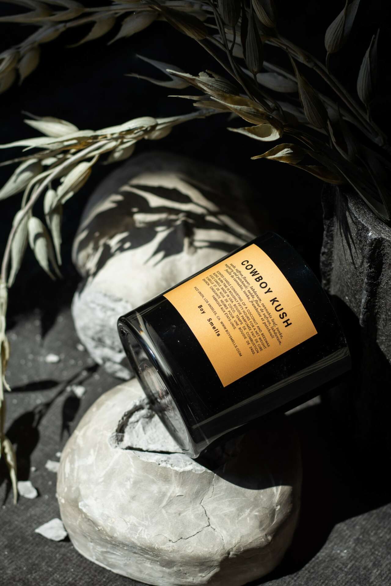 Meet Hannah Brown - CanvasRebel Magazine