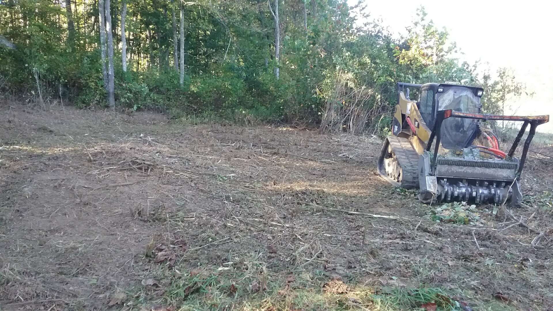 Meet Thomas Parsons CanvasRebel Magazine