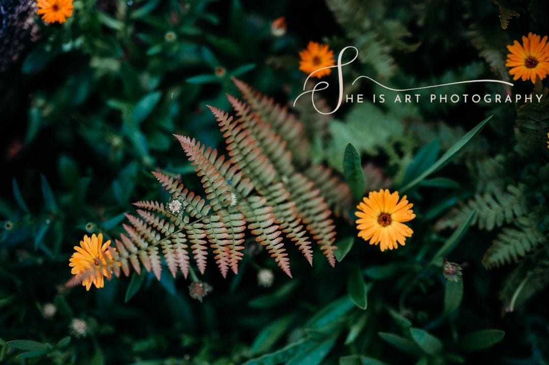 Meet Sheena Smith CanvasRebel Magazine