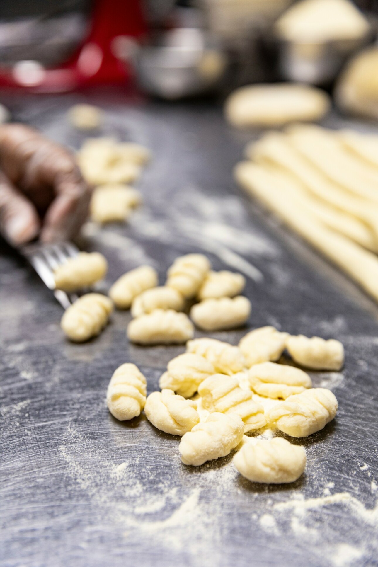 Meet Chef Rocco Pezzano – CanvasRebel Magazine