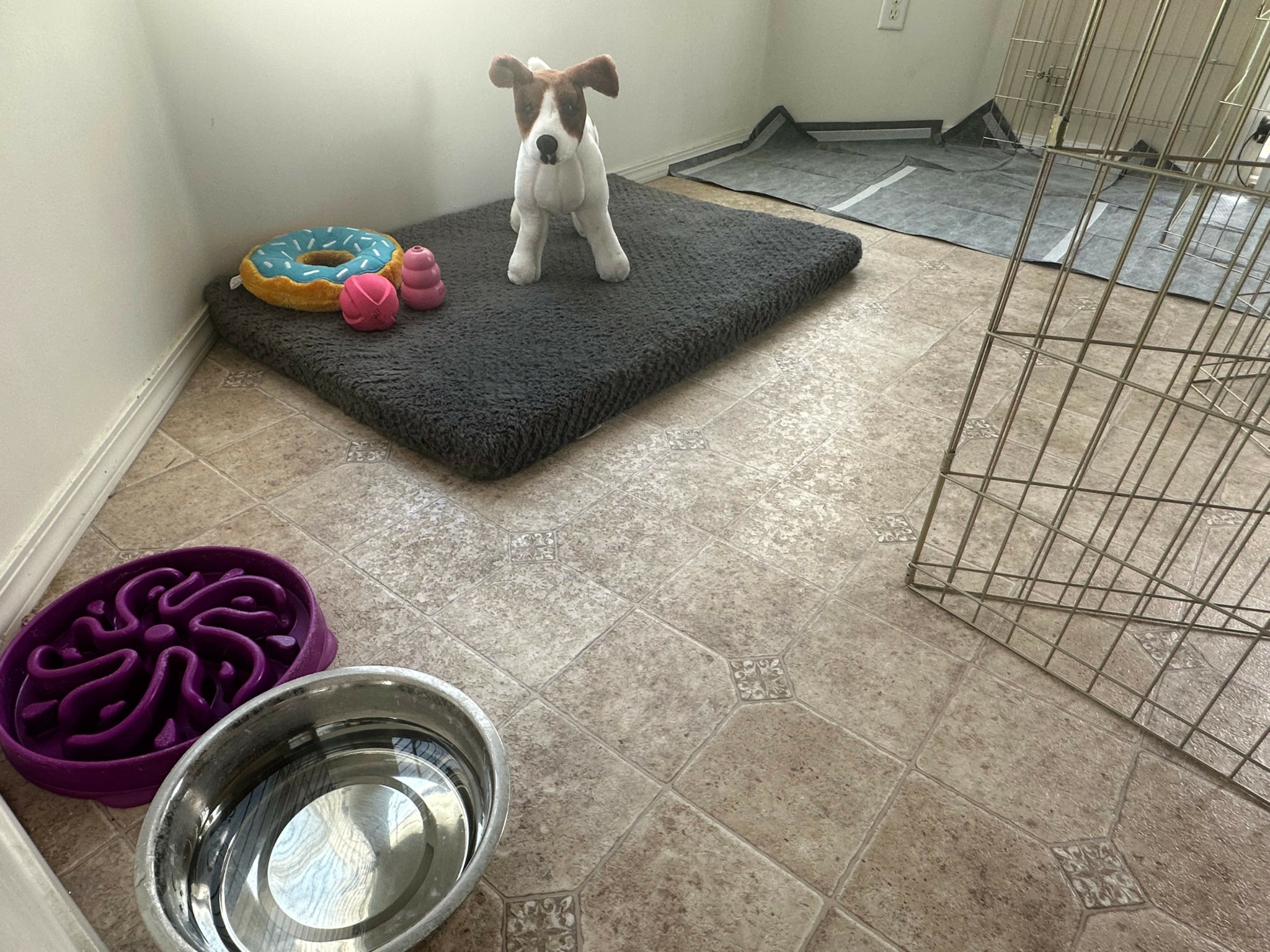 Meet Melissa Thomas – CanvasRebel Magazine