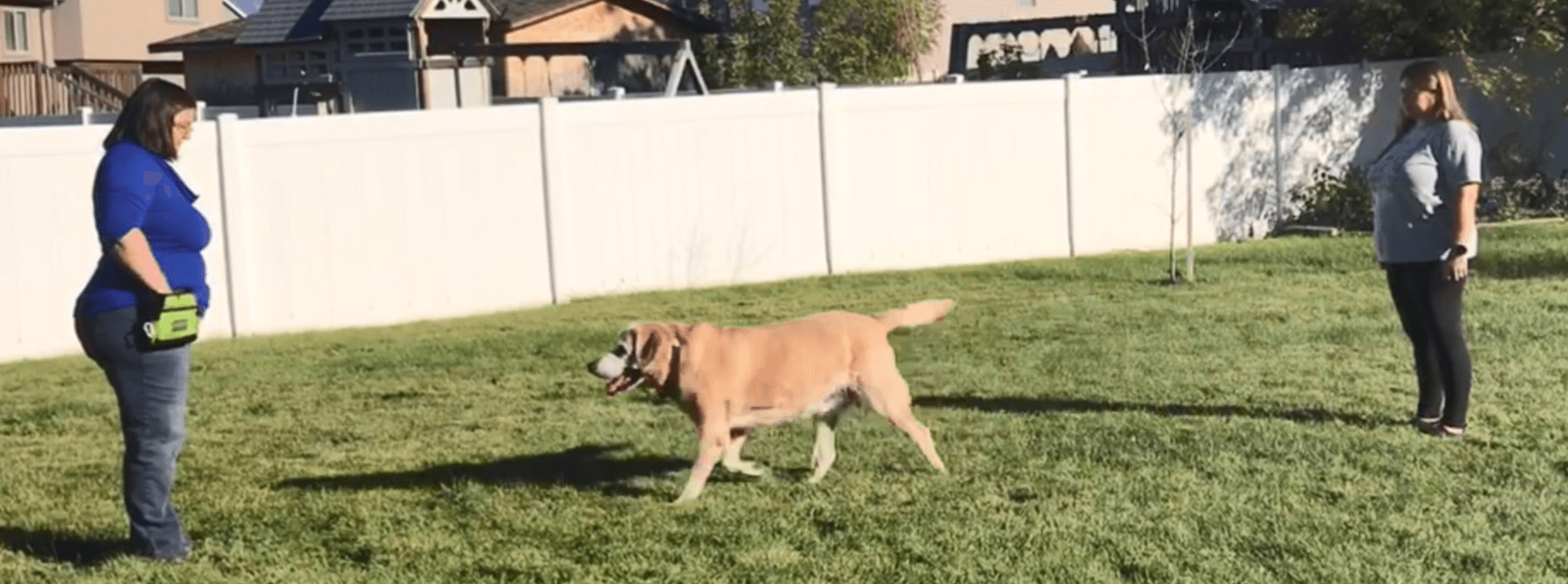 Meet Melissa Thomas – CanvasRebel Magazine