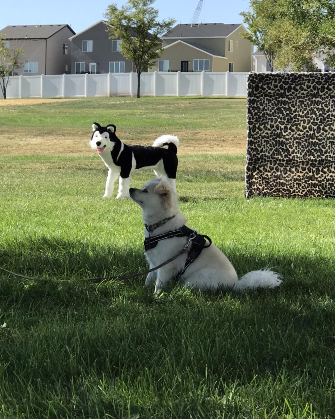 Meet Melissa Thomas – CanvasRebel Magazine