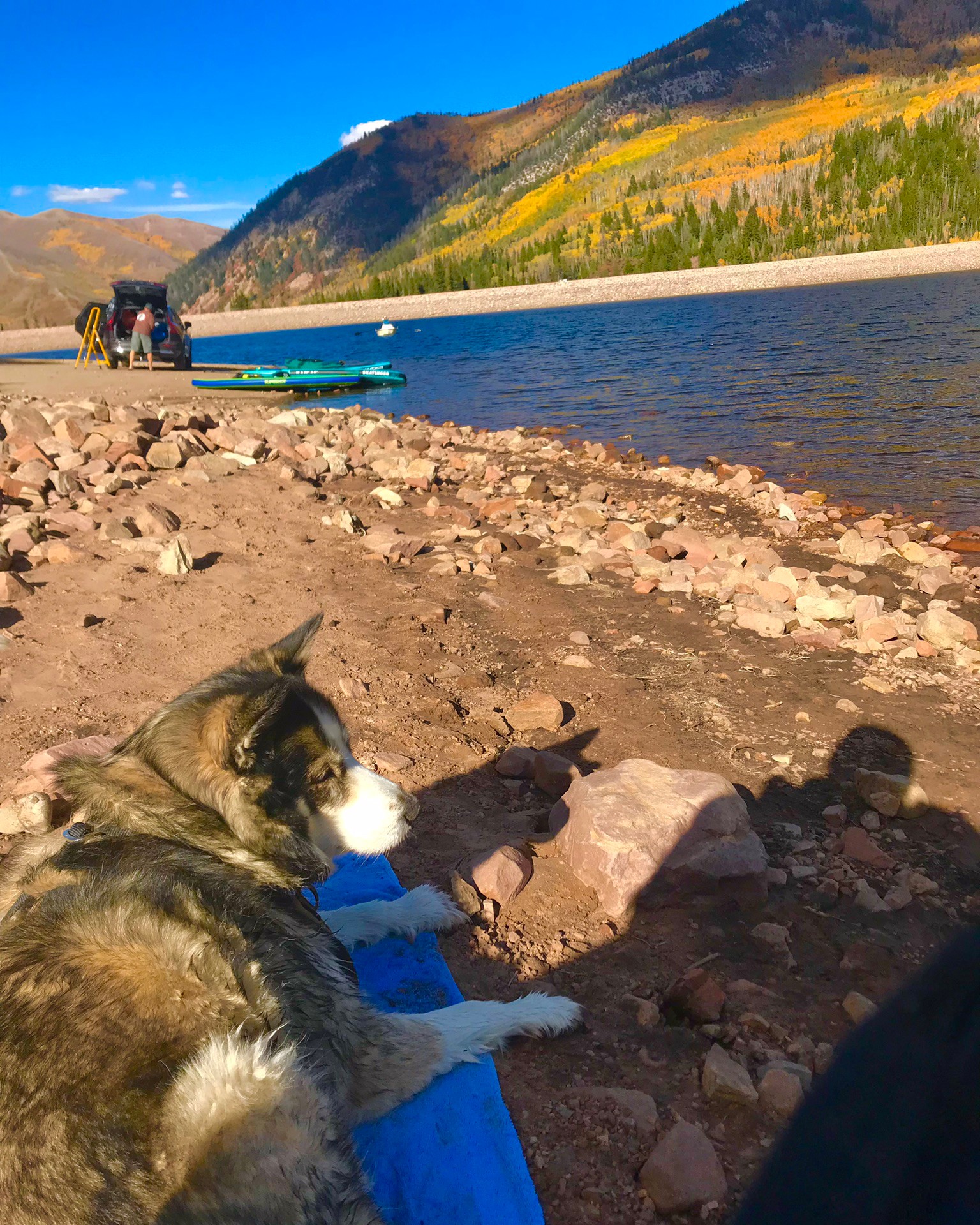 Meet Melissa Thomas – CanvasRebel Magazine