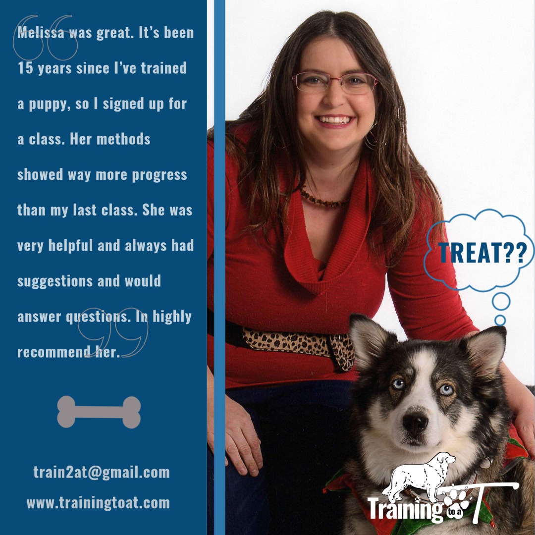 Meet Melissa Thomas – CanvasRebel Magazine