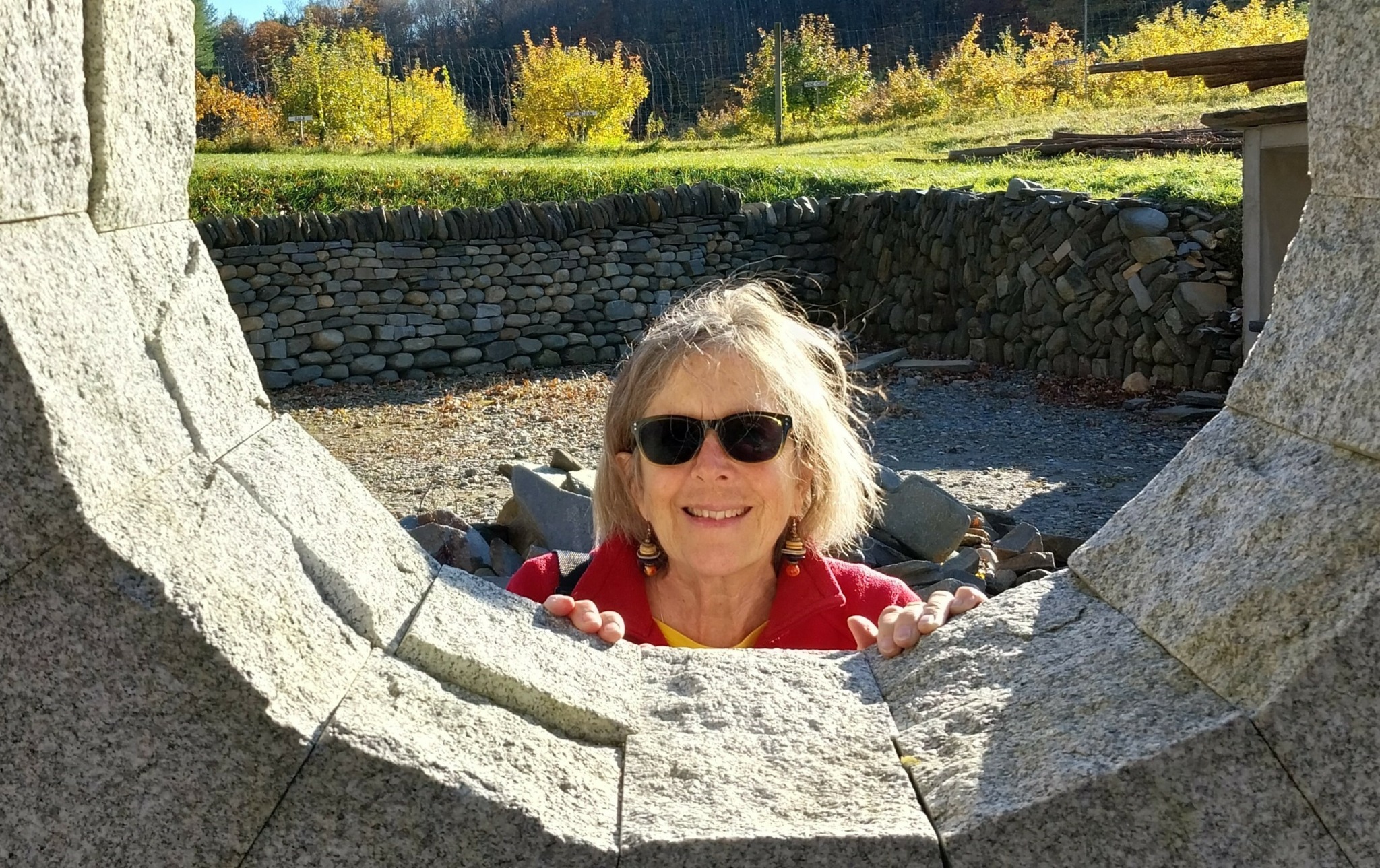 Meet Sarah Sutro
