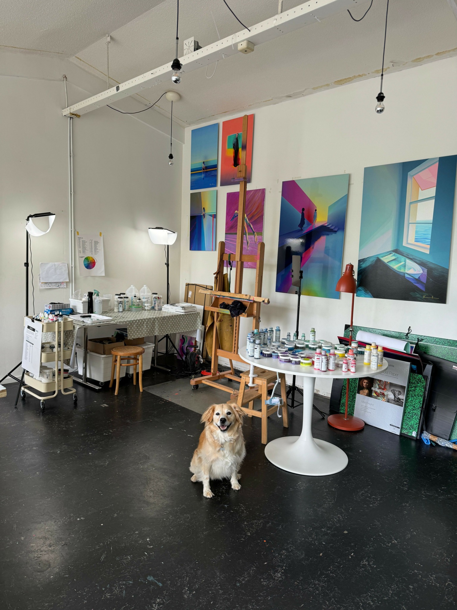 Dog sitting on black floor in art studio with colorful paintings on white wall, table with art supplies, and easel.