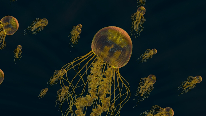 Multiple jellyfish floating in dark water, some with long, trailing tentacles, illuminated softly.