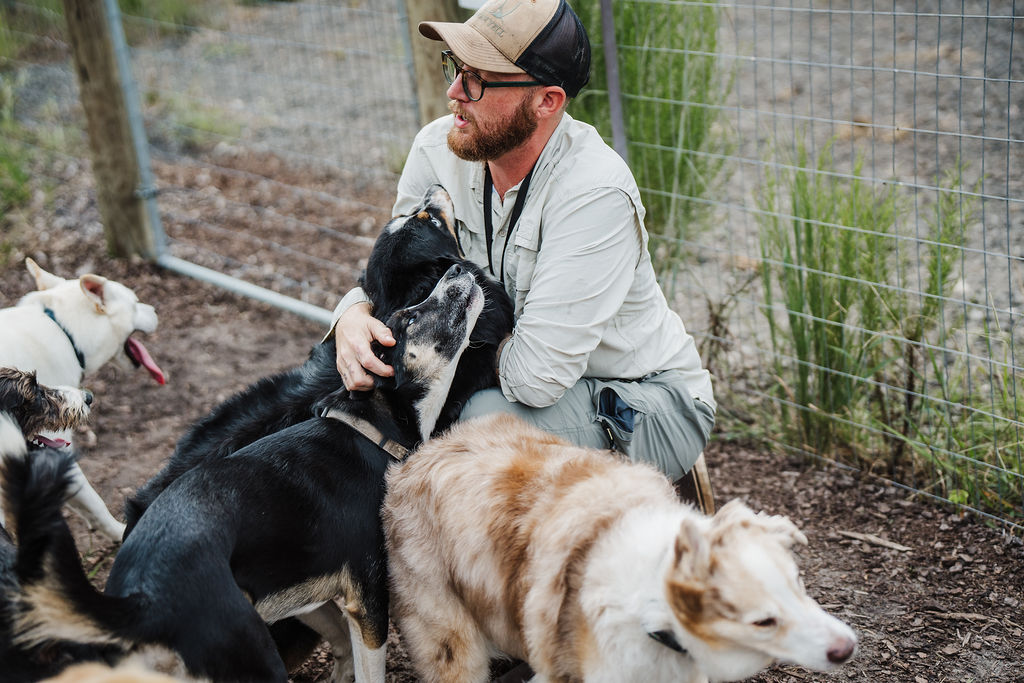 Man crouching with four dogs outdoors near a wire fence, some dogs licking his face, others nearby.
