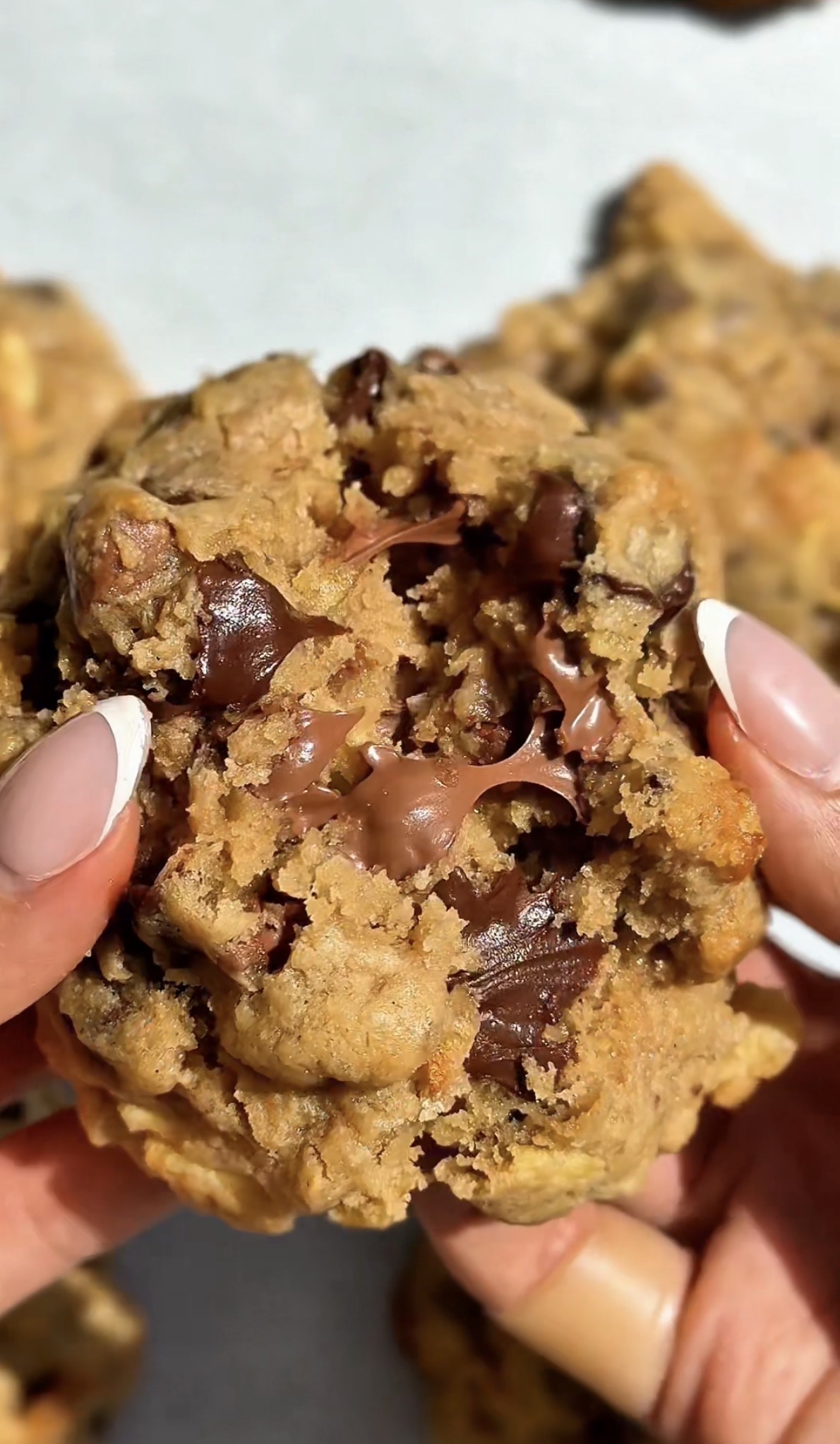 Close-up of a person holding a large chocolate chip cookie with chocolate chunks.
