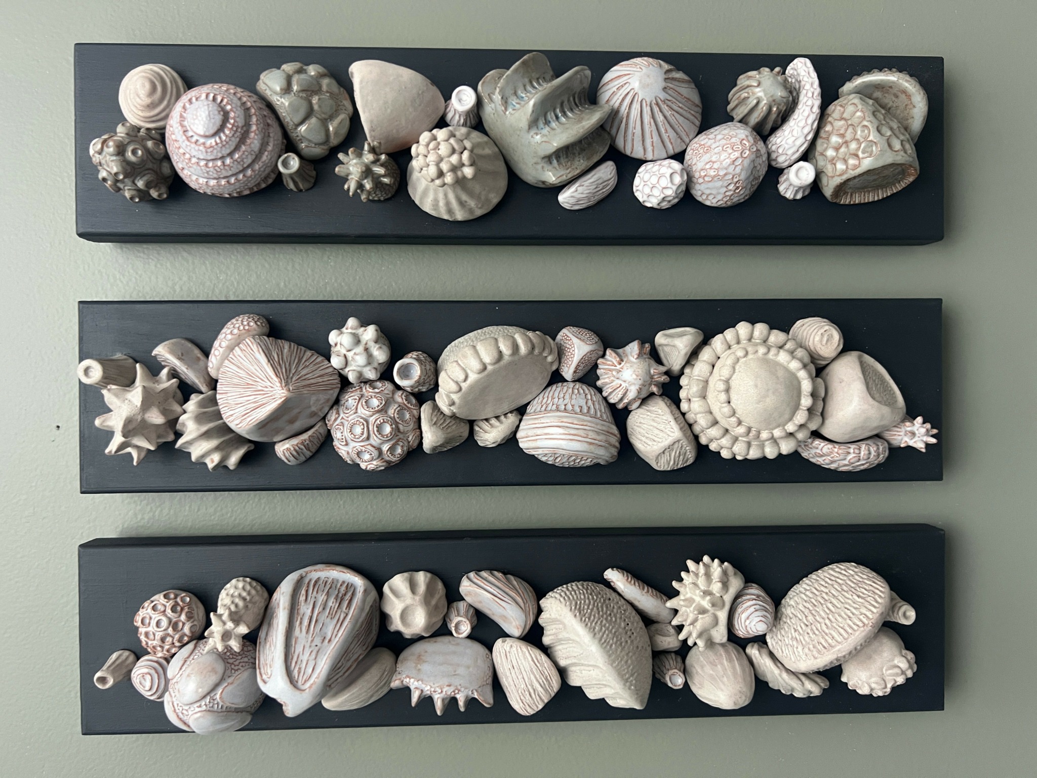 Three black rectangular frames filled with various white seashells arranged in rows.