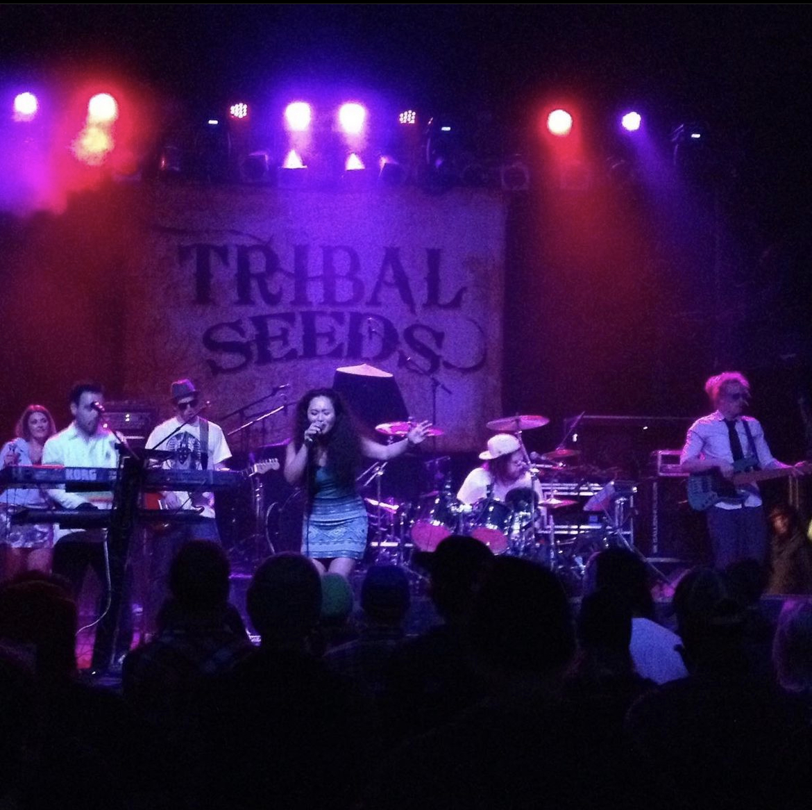 Band performing on stage with colorful lights and a banner reading 'TRIBAL SEEDS' in the background.