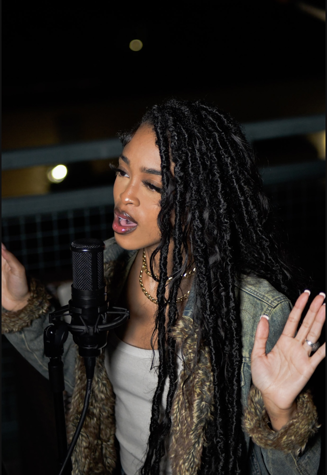 Woman with long curly hair singing into a microphone, eyes closed, hands raised, nighttime setting.