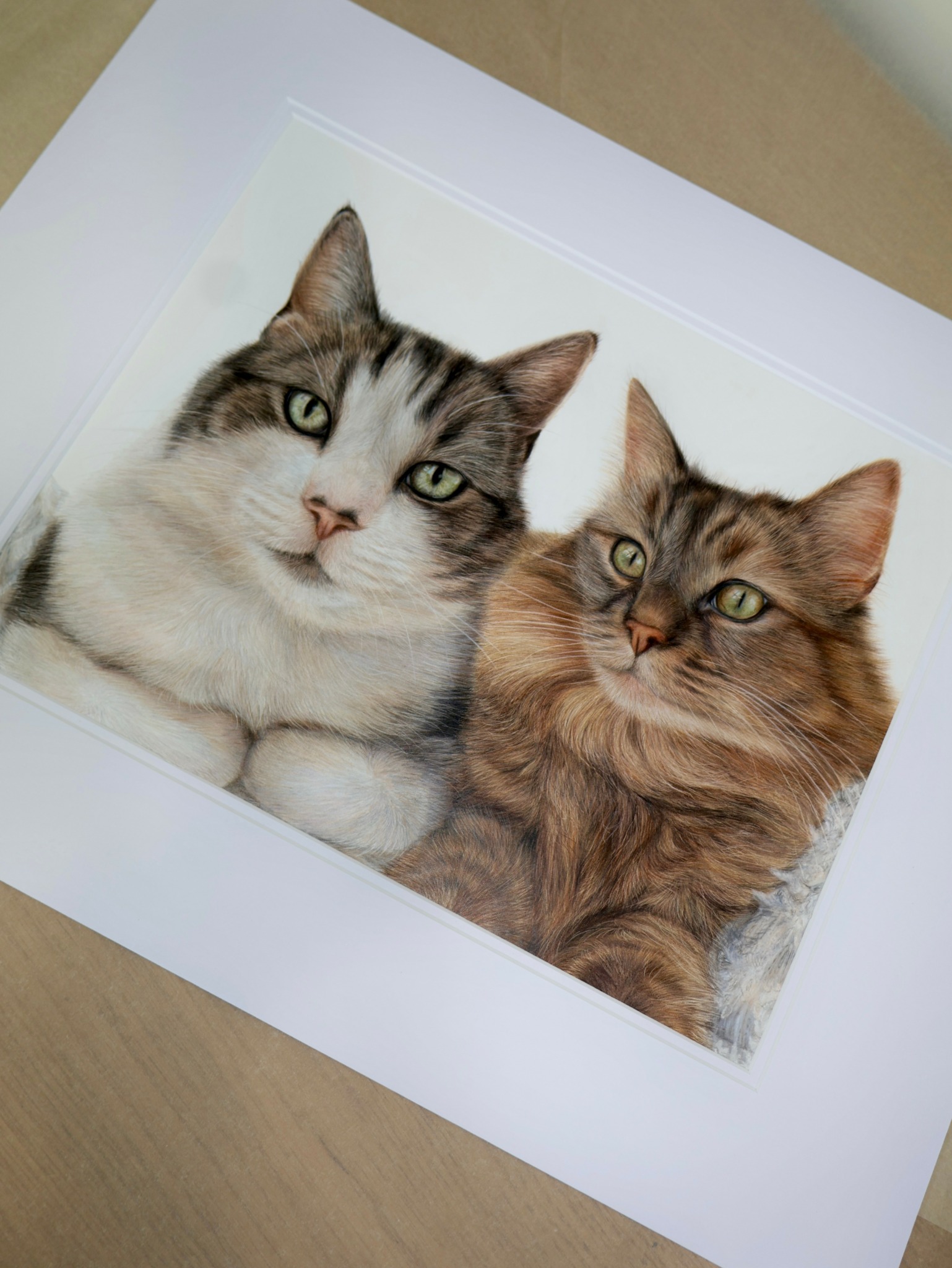 Two cats lying side by side, one with gray and white fur, the other with brown fur, looking at the camera.