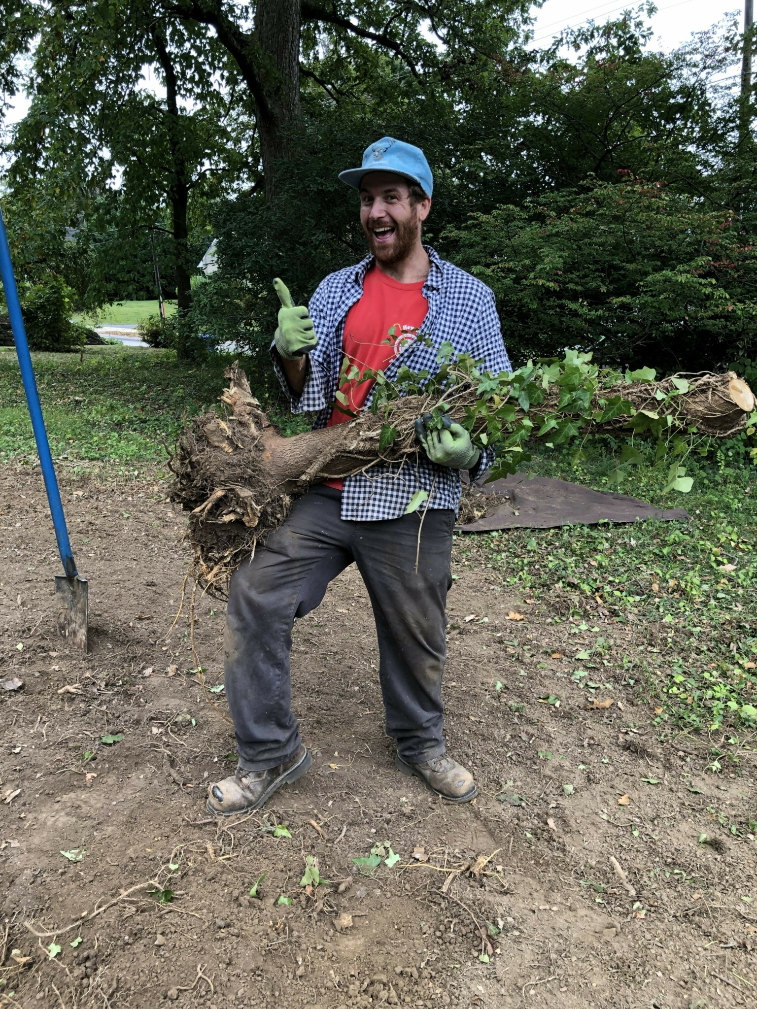 Meet Alexi Dinerstein