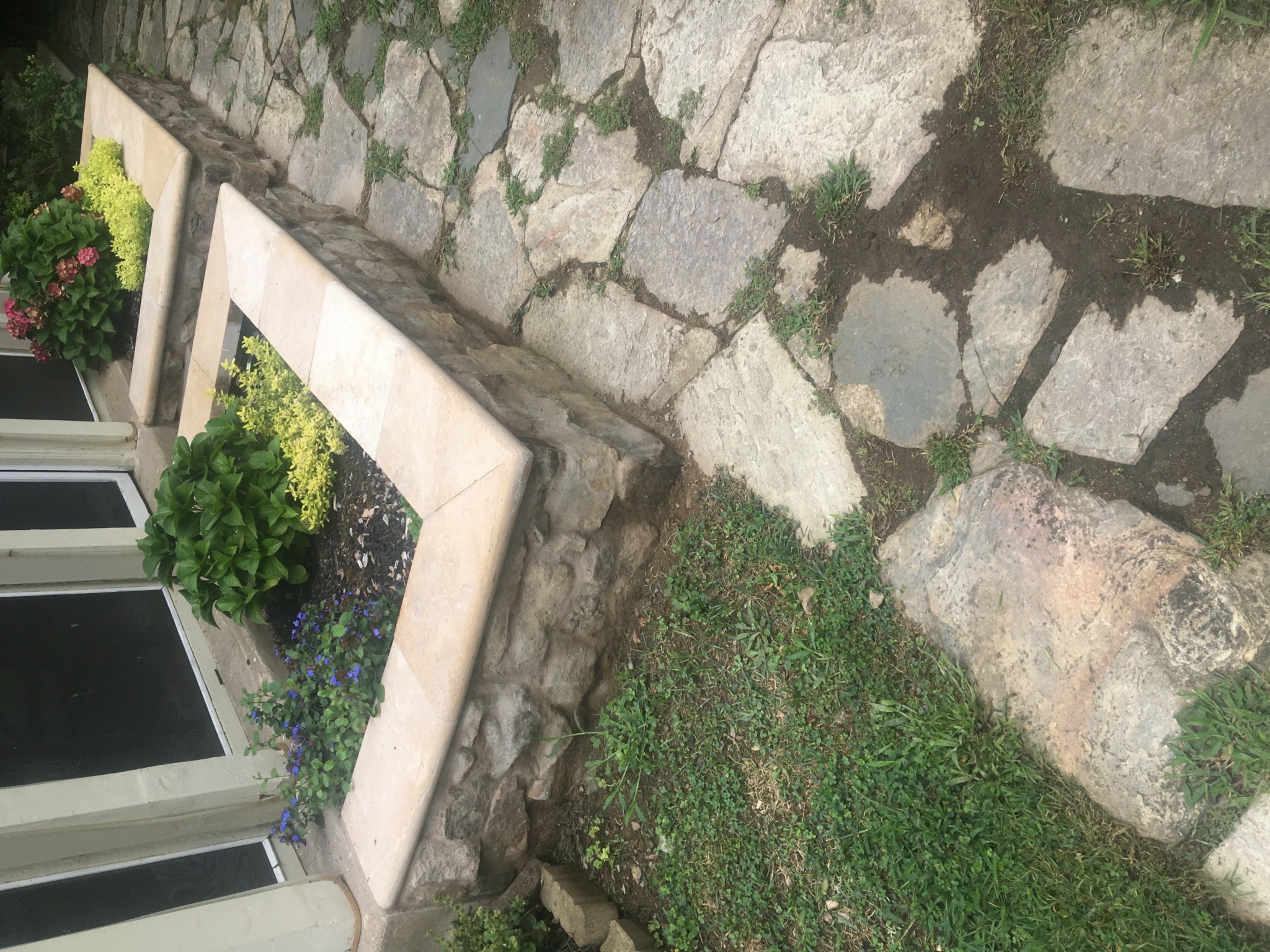 Stone pathway with a concrete border and green plants growing beside it.