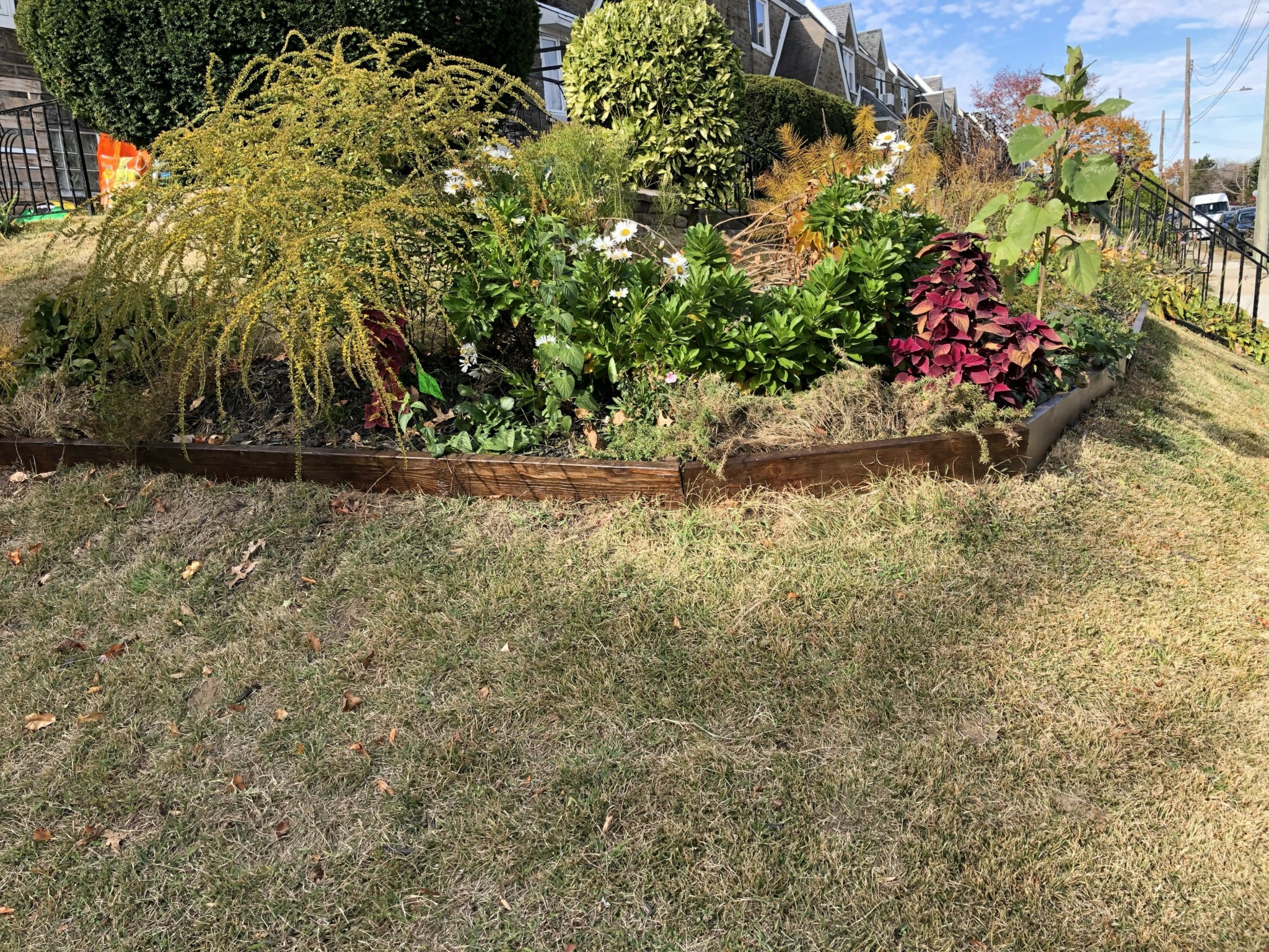 Flower bed with various plants and flowers, bordered by a curved metal edge, on a grassy area.
