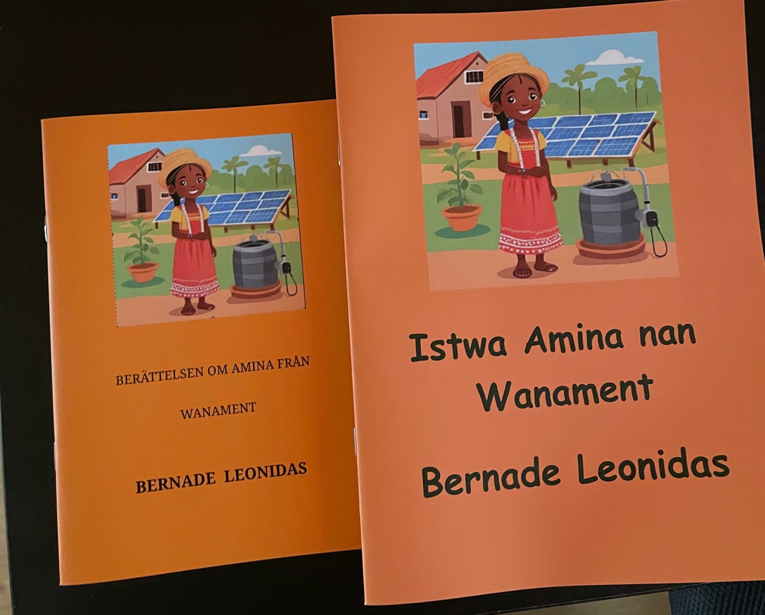 Book cover with illustration of girl in front of house, solar panels, and water barrel, with text in a foreign language.