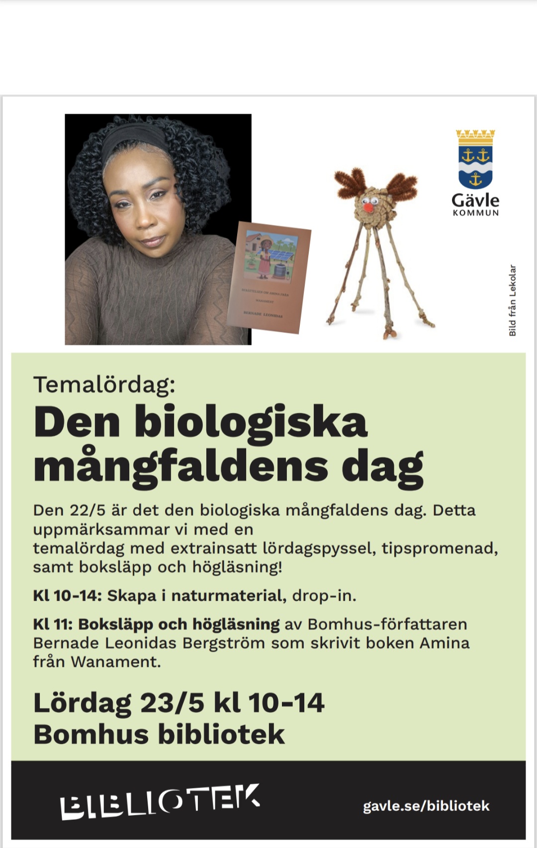 Book cover with a woman, a reindeer craft, and a book titled 'Den biologiska mångfaldens dag'.