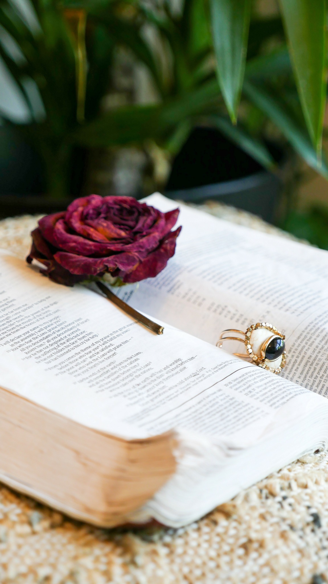 Open book with a dried rose and a ring on pages, surrounded by green plants.