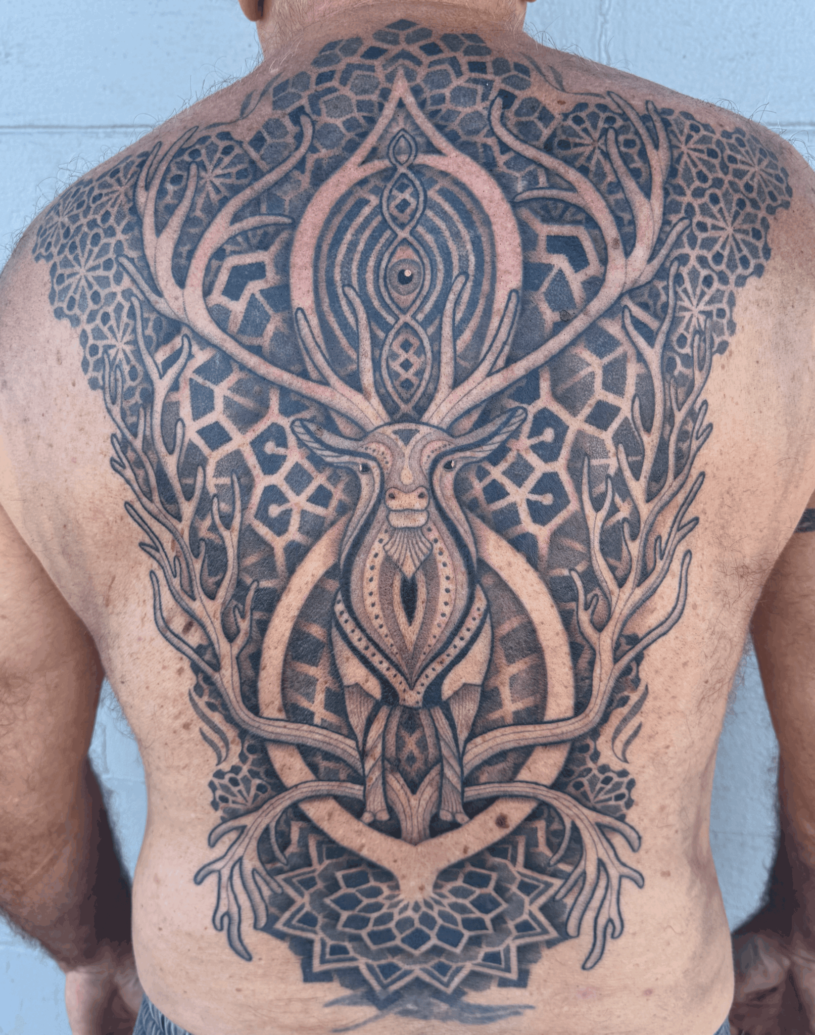 Intricate symmetrical tattoo with a central deer head, surrounded by geometric and organic patterns on person's back.