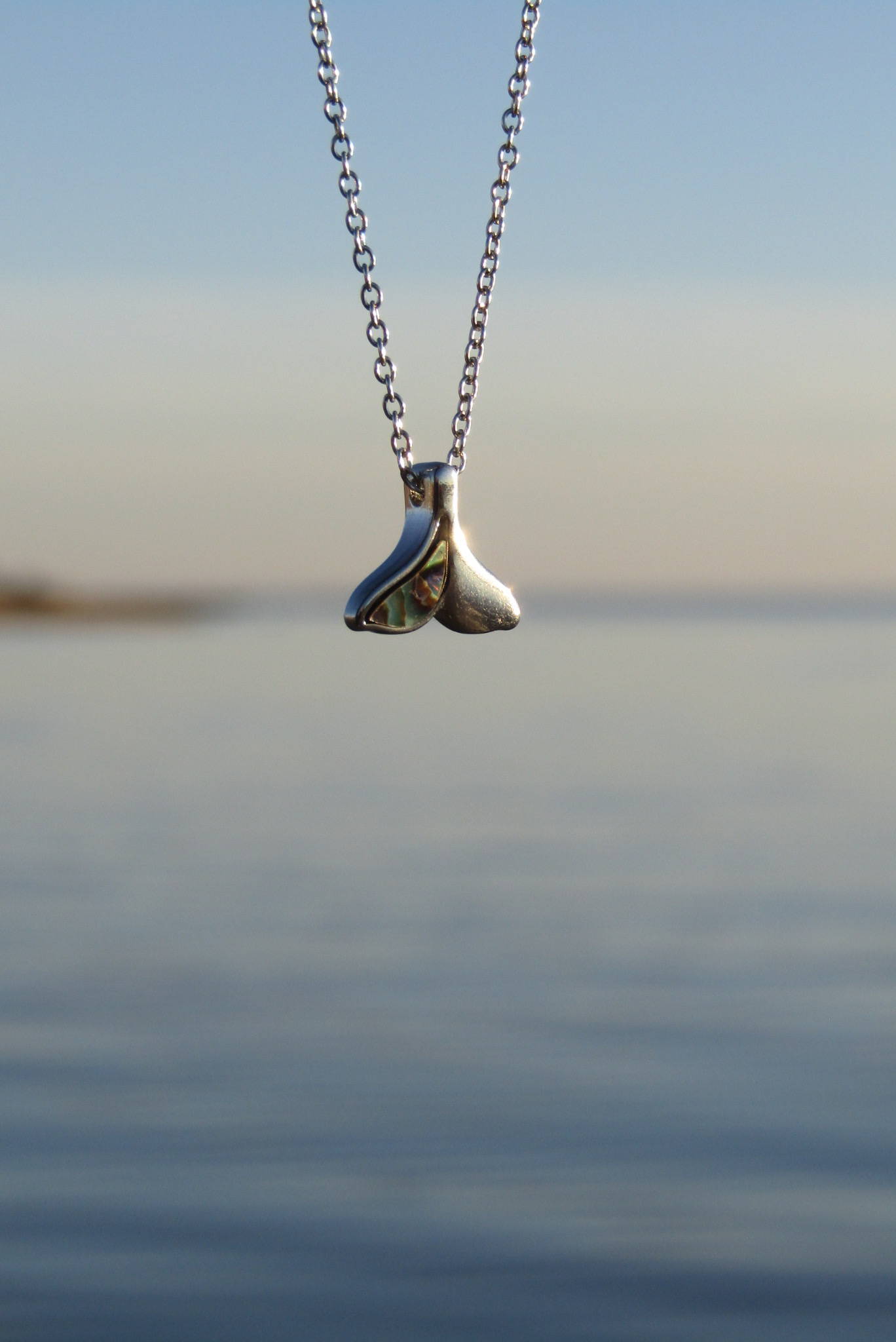 A metallic object attached to a chain floats above water surface, with a blurred horizon in the background.