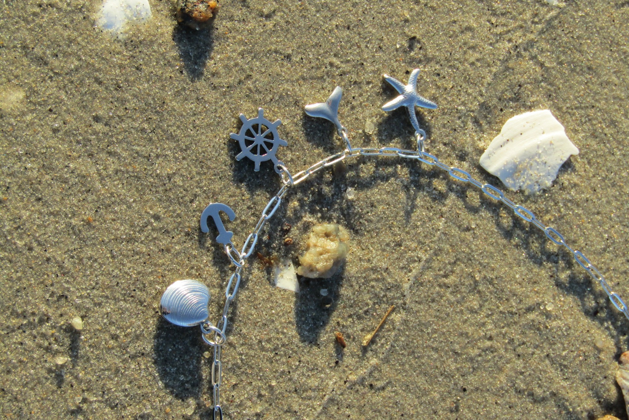 Sand with scattered shells, a chain, and small rocks.