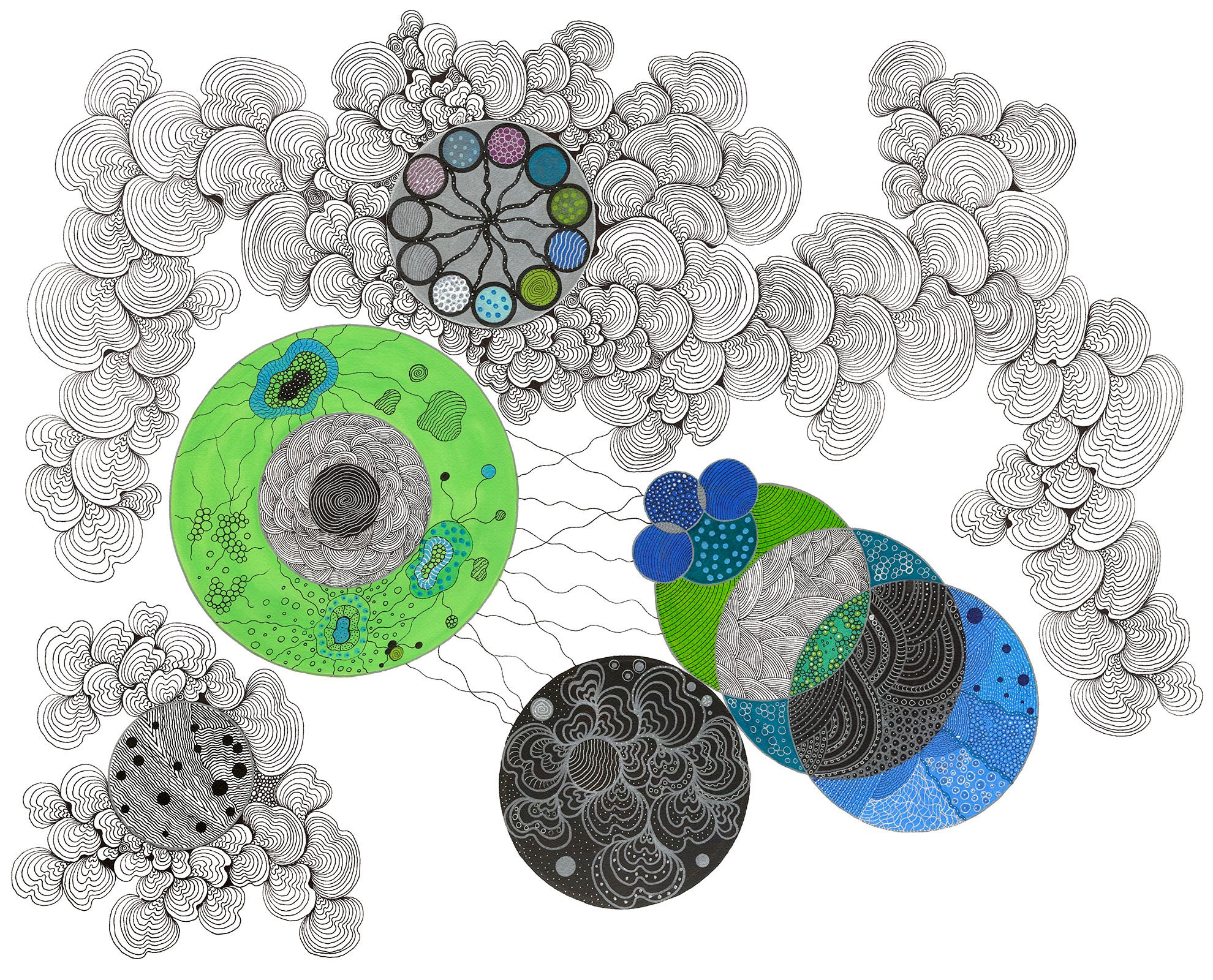 Illustration of various microscopic organisms and cells with detailed structures and colors.