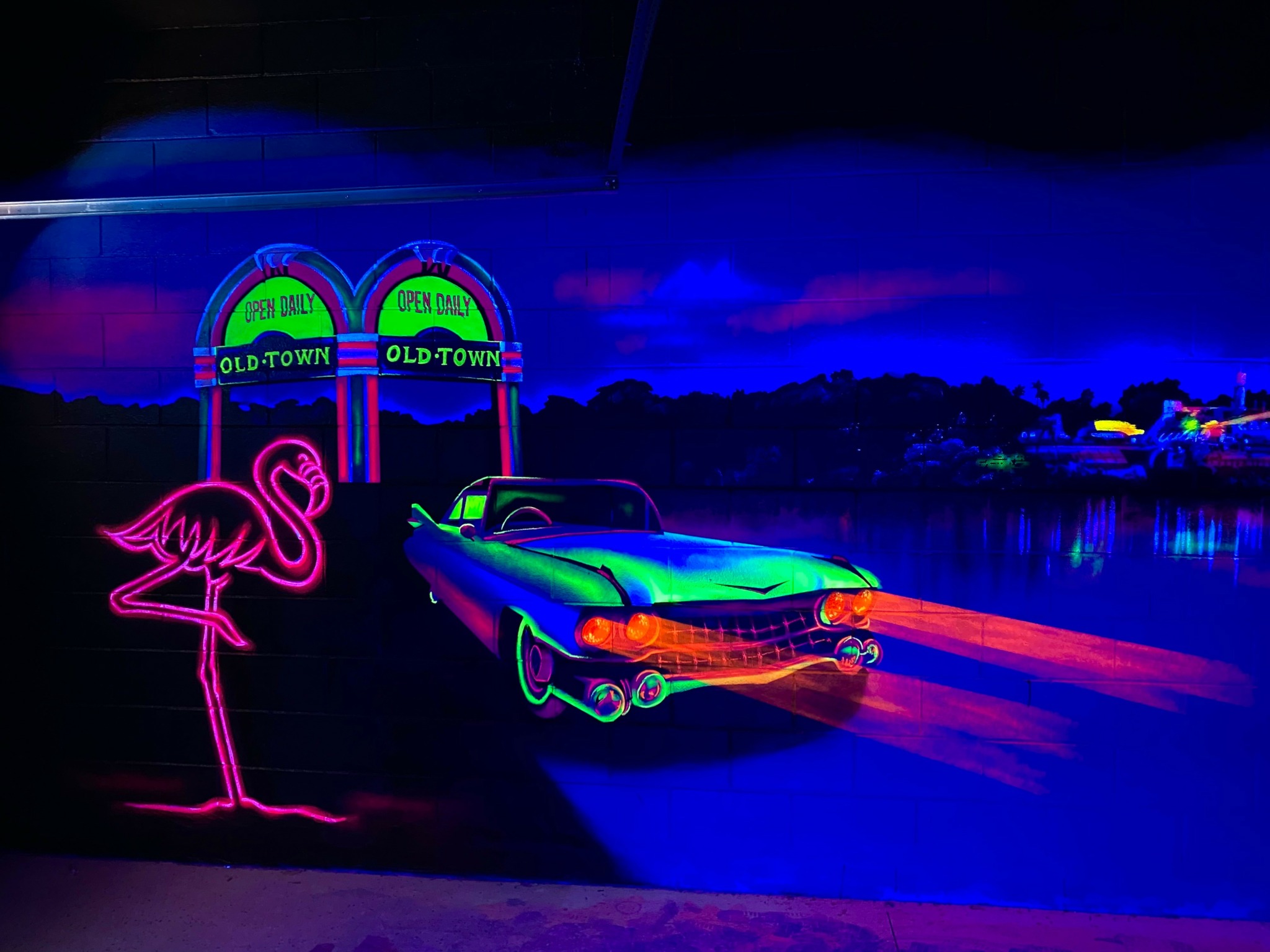 Neon flamingo, vintage car, and Old Town signs glow in a dark night scene by water.