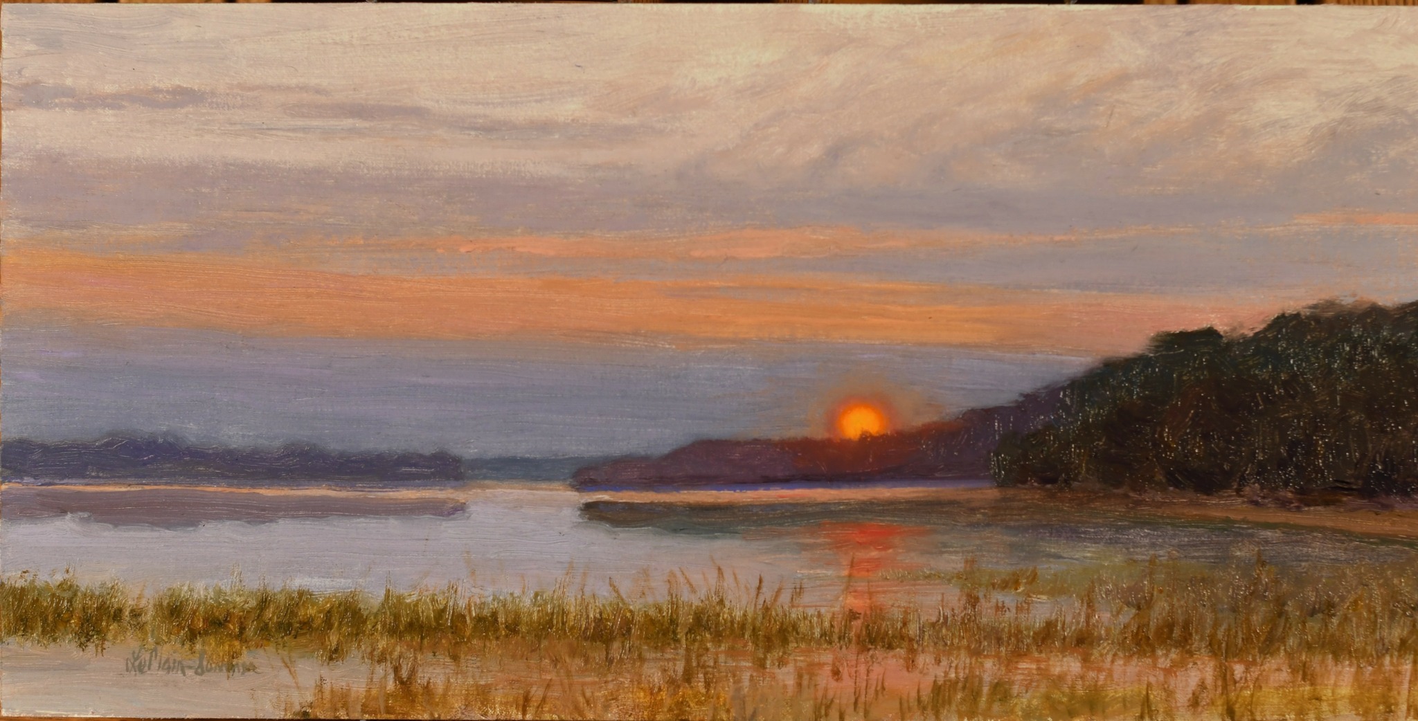 Sunset over a river with trees on the horizon and grassy foreground.