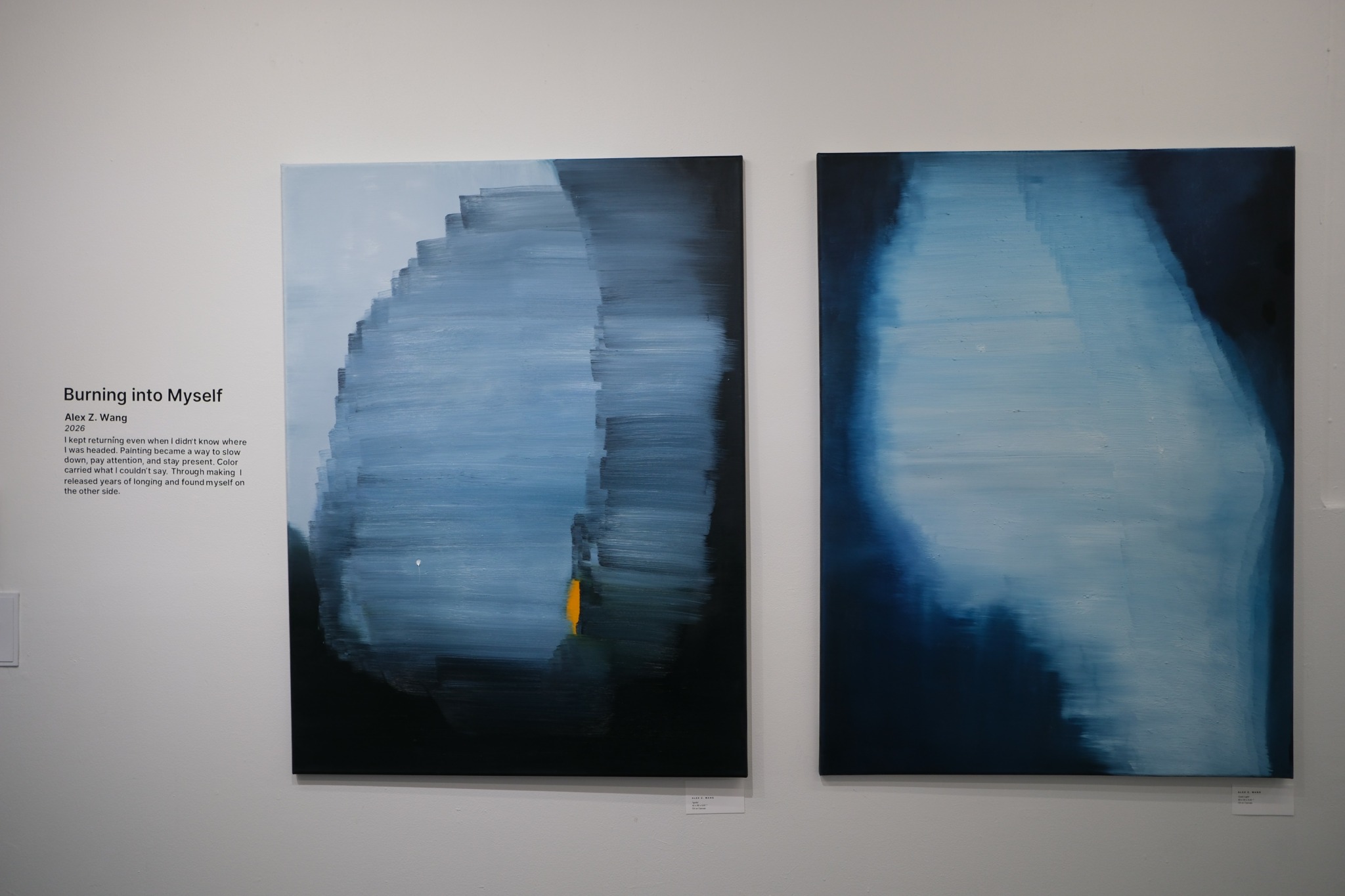 Two abstract paintings with blue and gray tones hang on a white wall, with a description label to the left.