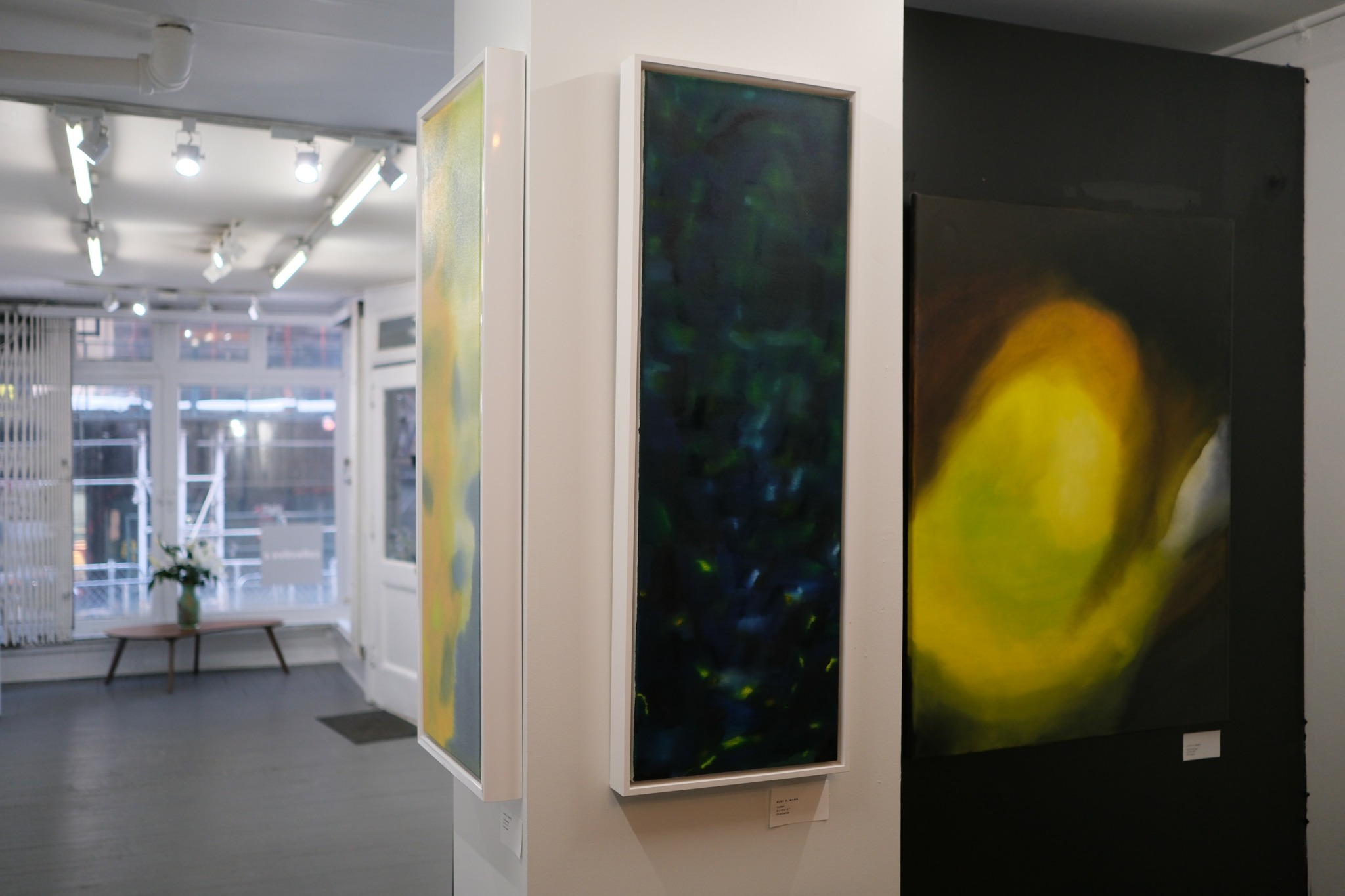 Gallery interior with abstract paintings on white walls, large windows, and a potted plant on a bench.