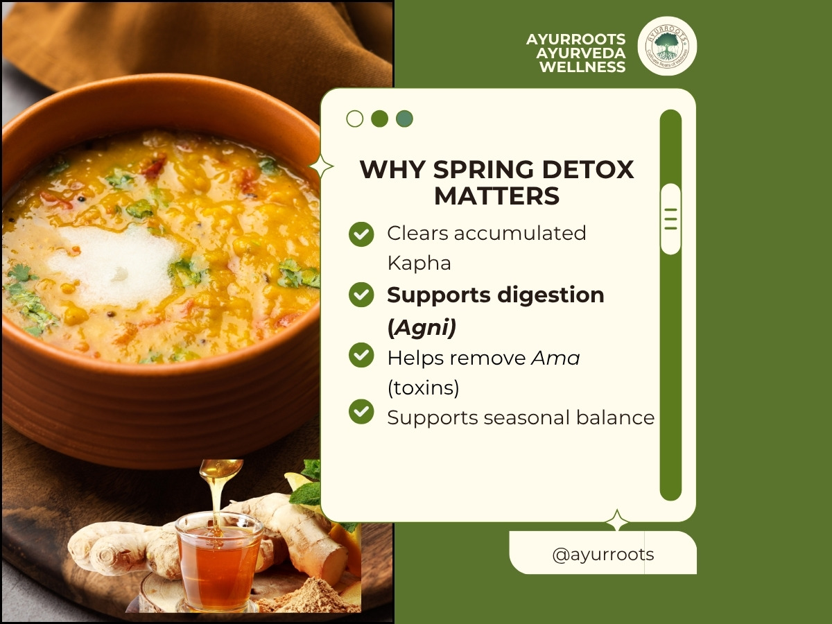 Bowl of soup with herbs, garlic, and honey in a small jar, on a wooden surface, with a green informational overlay.