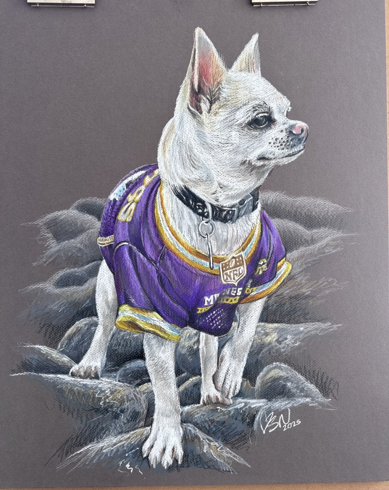 Dog wearing a purple jacket with yellow accents, standing on rocks, facing right, with a collar and tags, detailed fur.