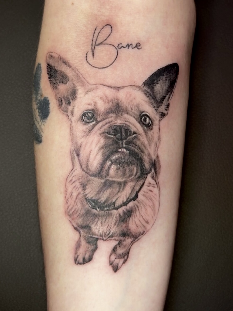 Tattoo of a dog's face with the name 'Bane' above it, detailed and realistic style.
