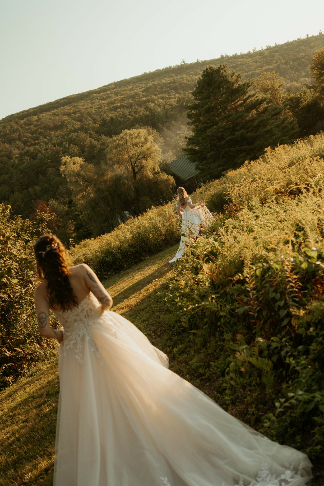 Two women in wedding dresses walking along a grassy path in a hilly landscape with trees and bushes.