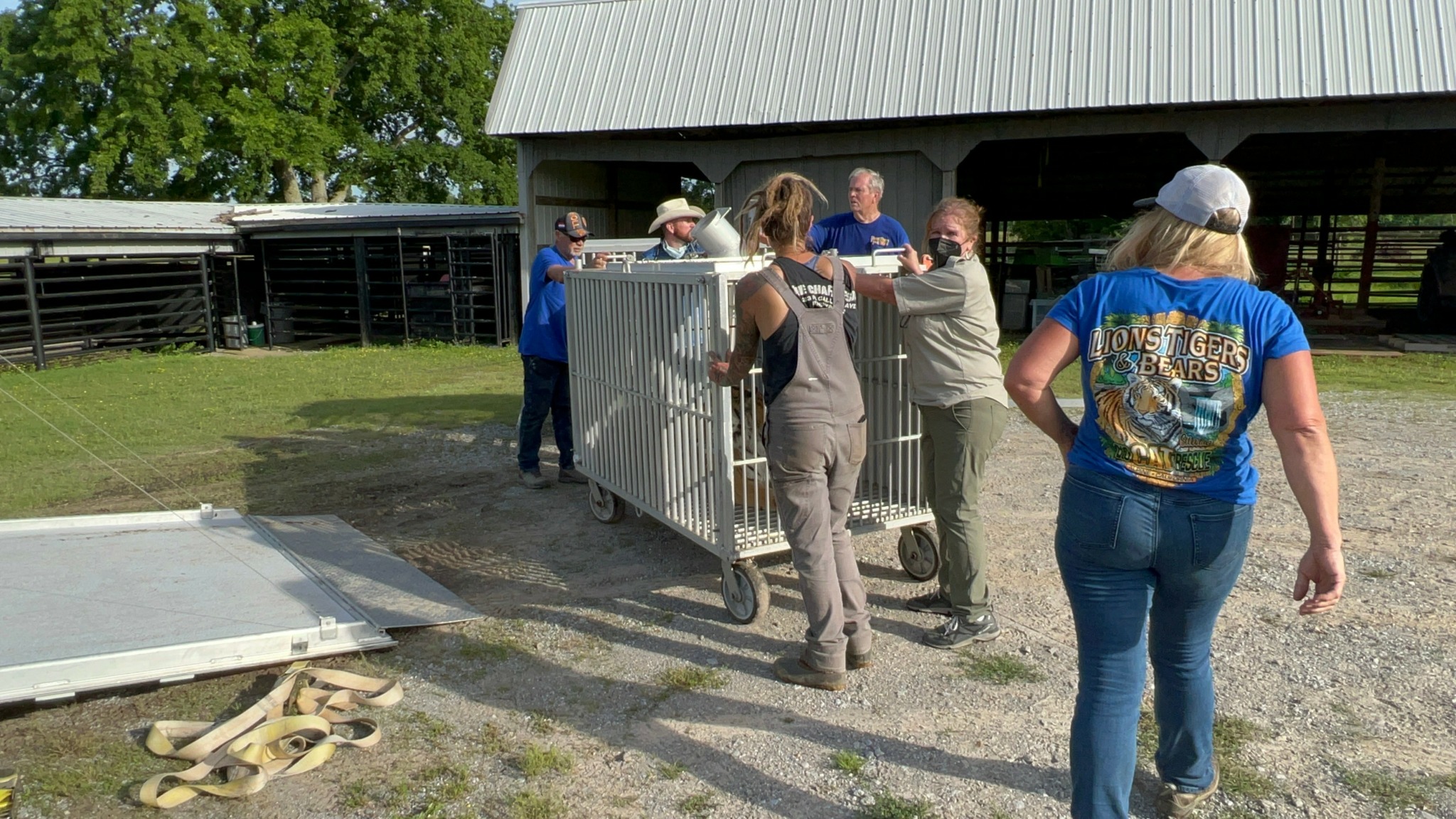 Group of people gathered around a metal fence outside a building, with trees and a shed in the background.