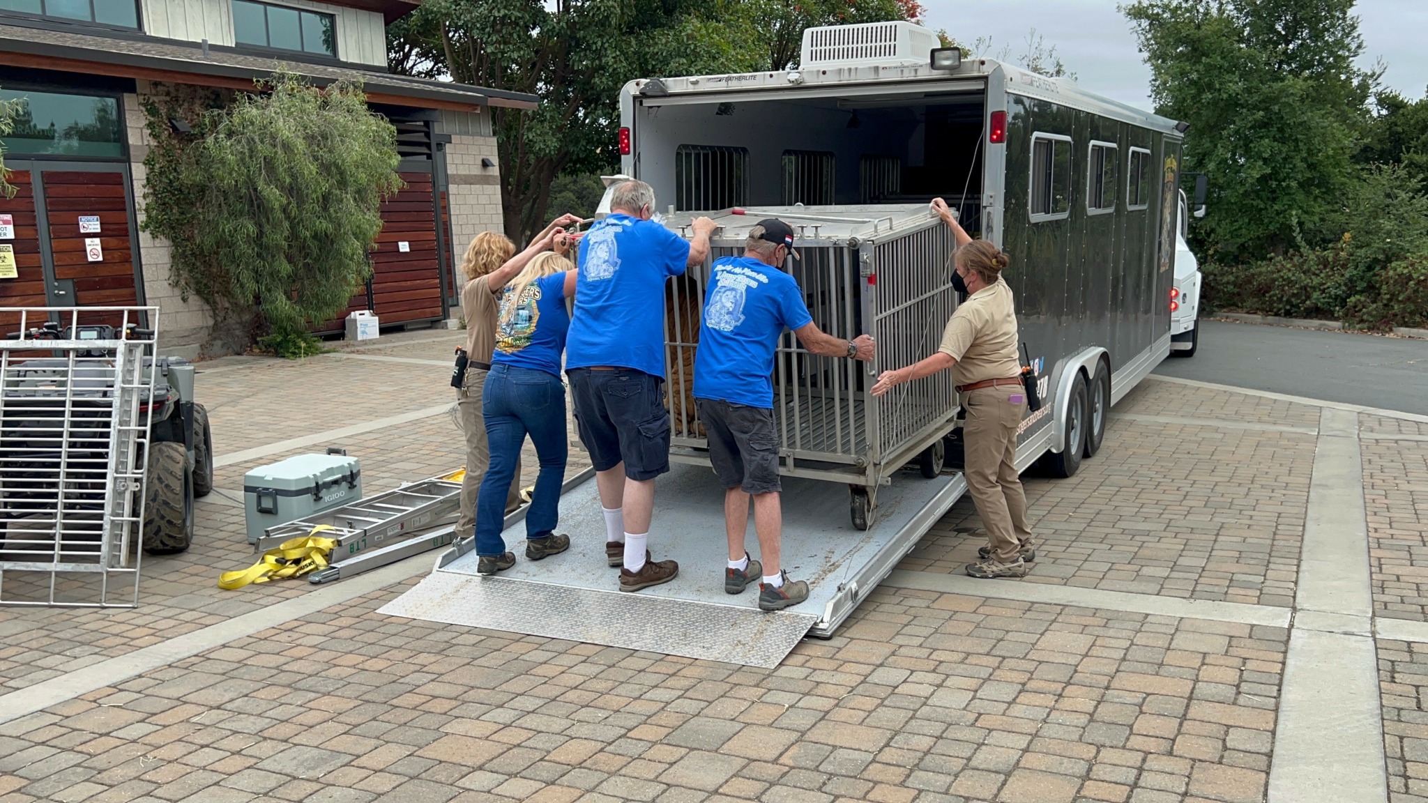 Four people unload a large cage from a trailer onto a ramp outside a building.