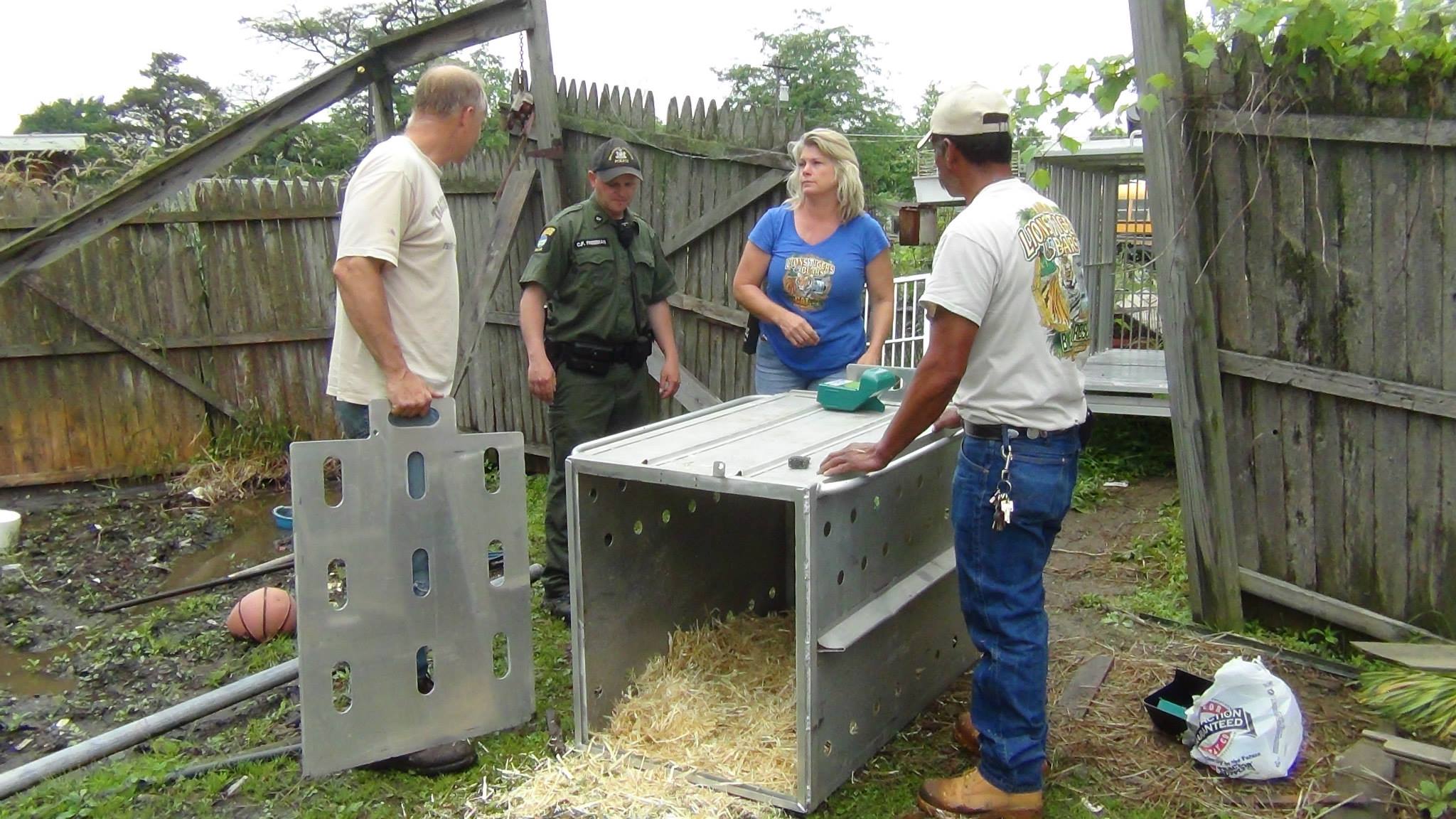 Four people standing around a large metal container with straw spilling out, in a backyard with a wooden fence.