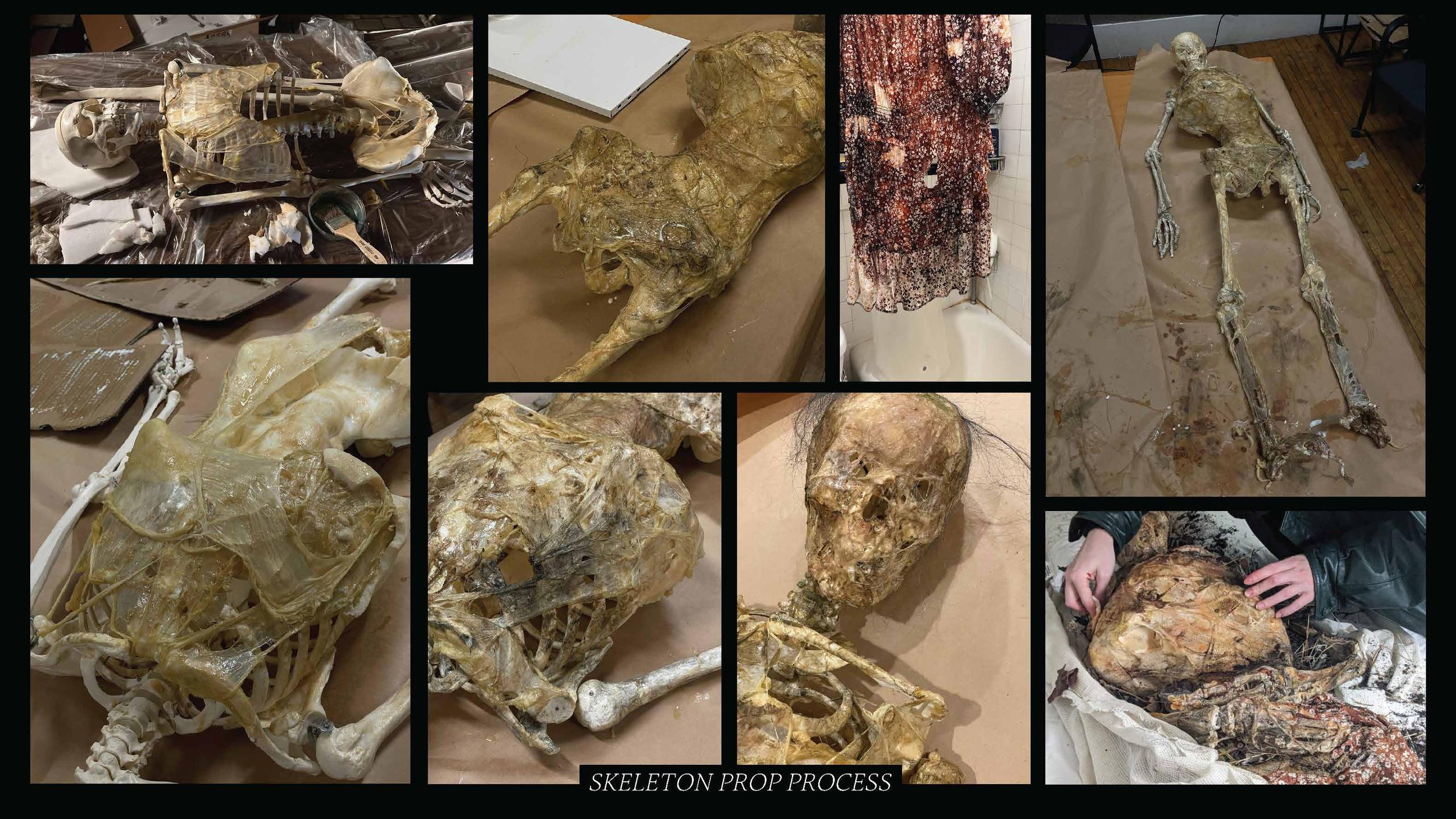 Collection of skeletal remains and bones, some with tools, in a process of assembly or analysis, with hands working on bones.