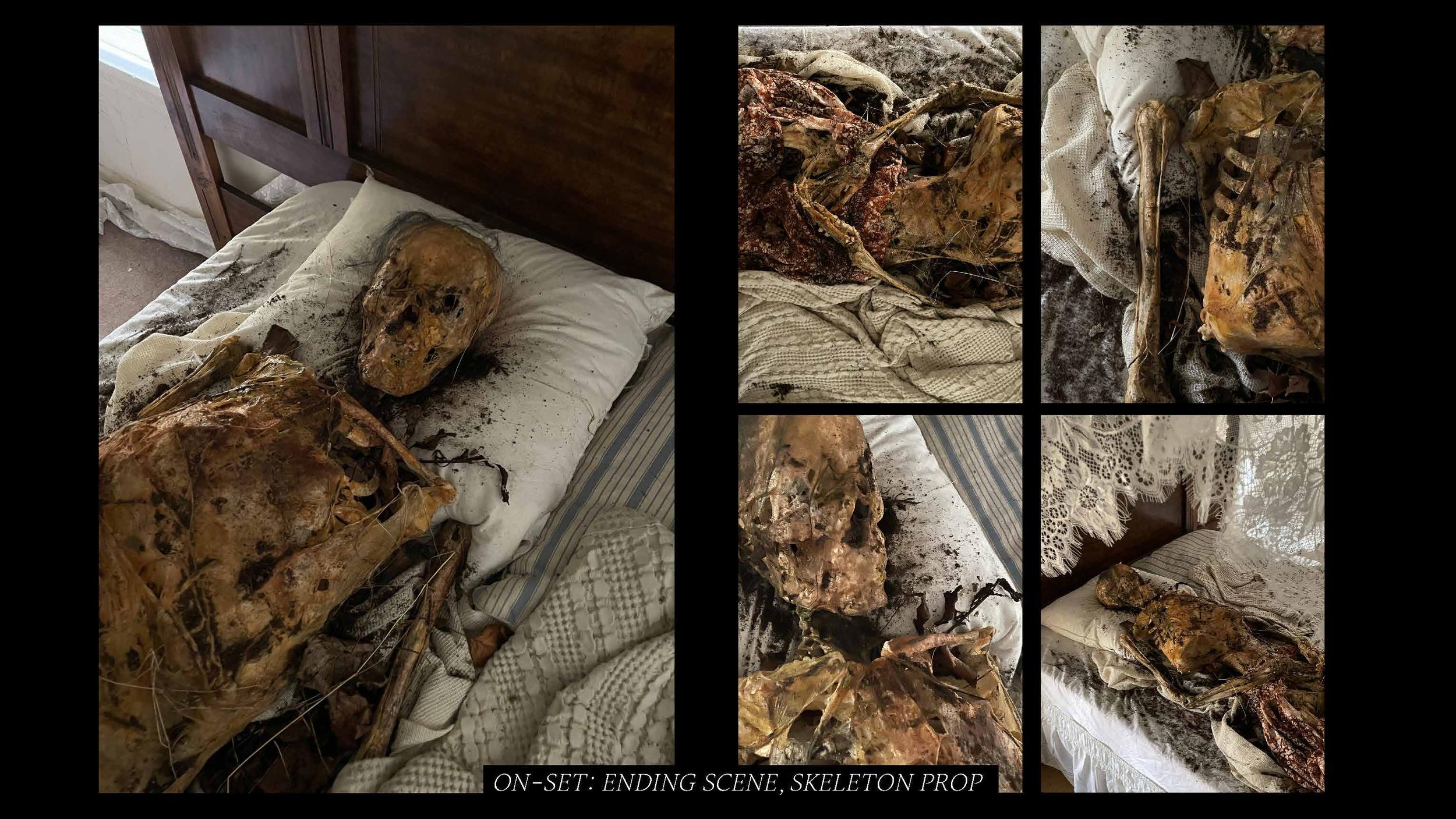 Skeleton prop lying on bed with blanket, in a room setting, with multiple close-up shots of the skeleton's details.