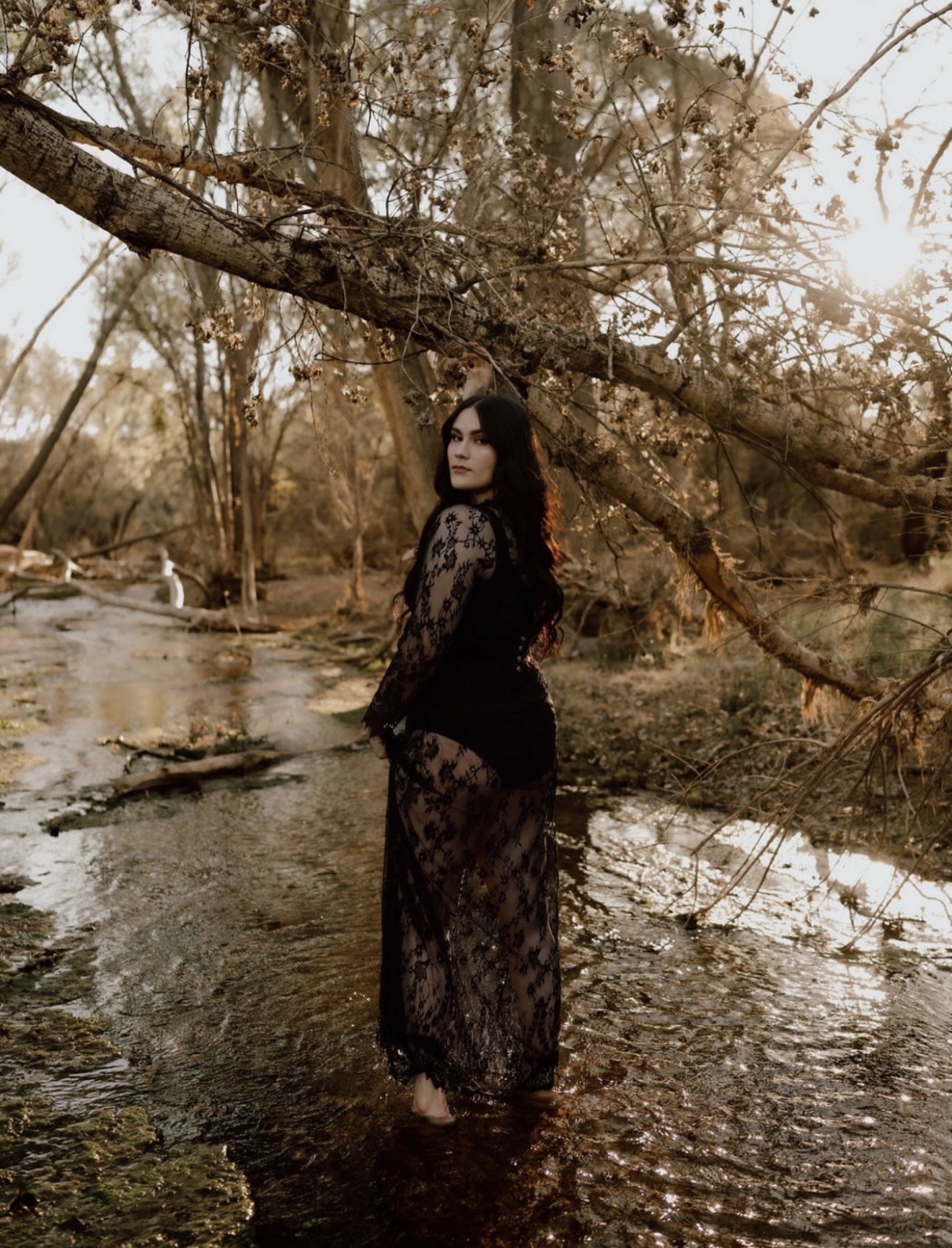 Woman standing in a shallow river surrounded by trees and branches, wearing a long black lace dress, sunlight filtering through.