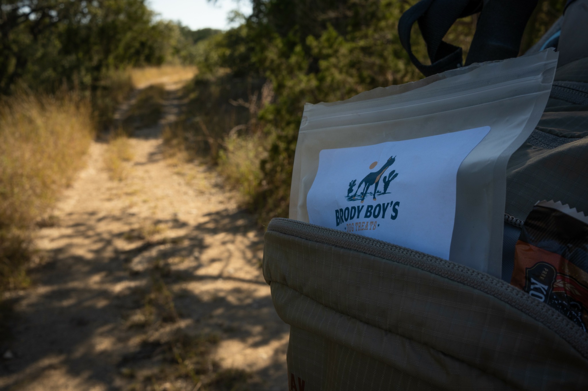 Close-up of a backpack with a label reading 'Woody Boys' on a dirt trail with trees and bushes.