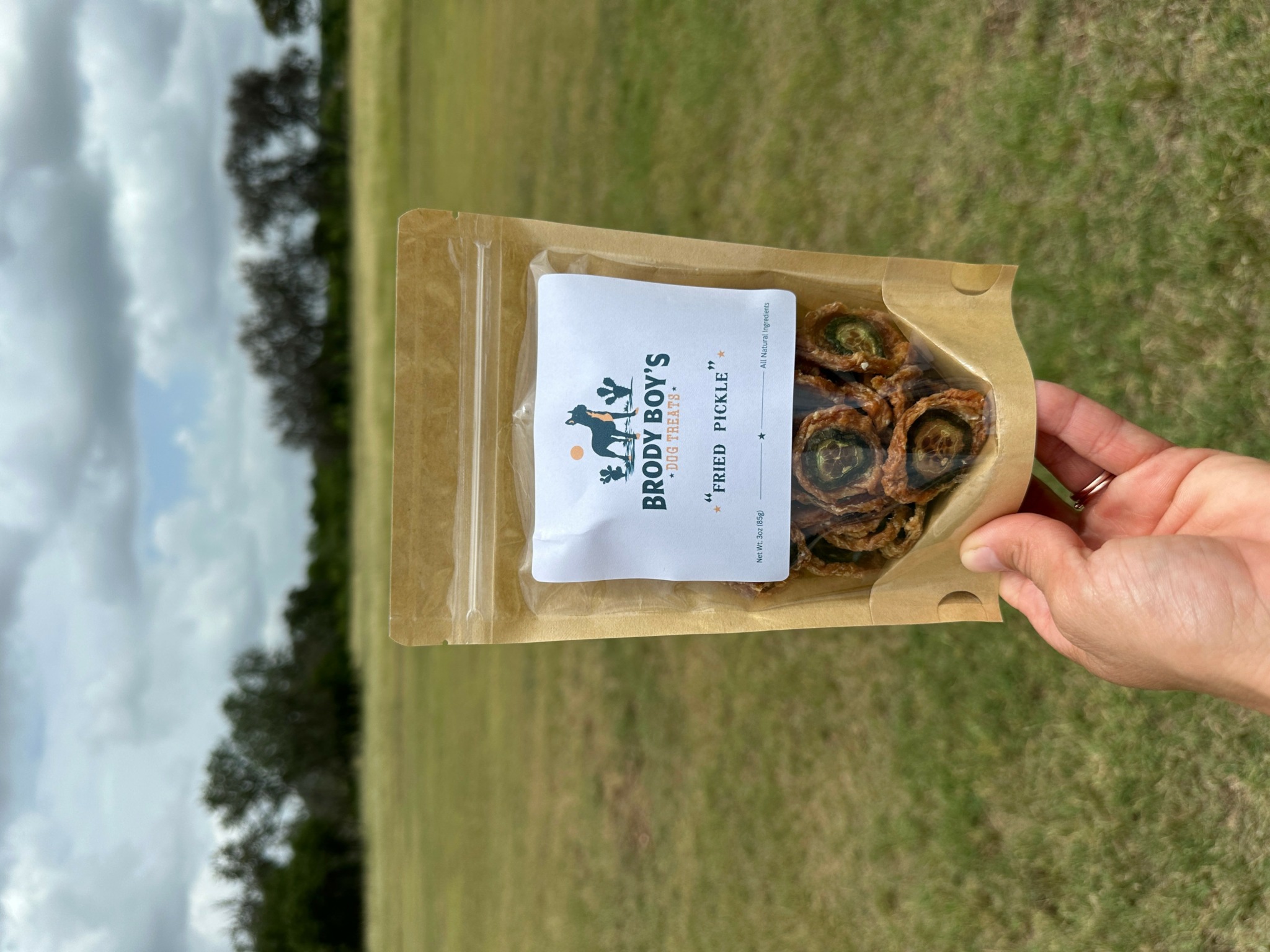 Hand holding a sealed bag of dried food outdoors on grassy field with trees and cloudy sky in background.