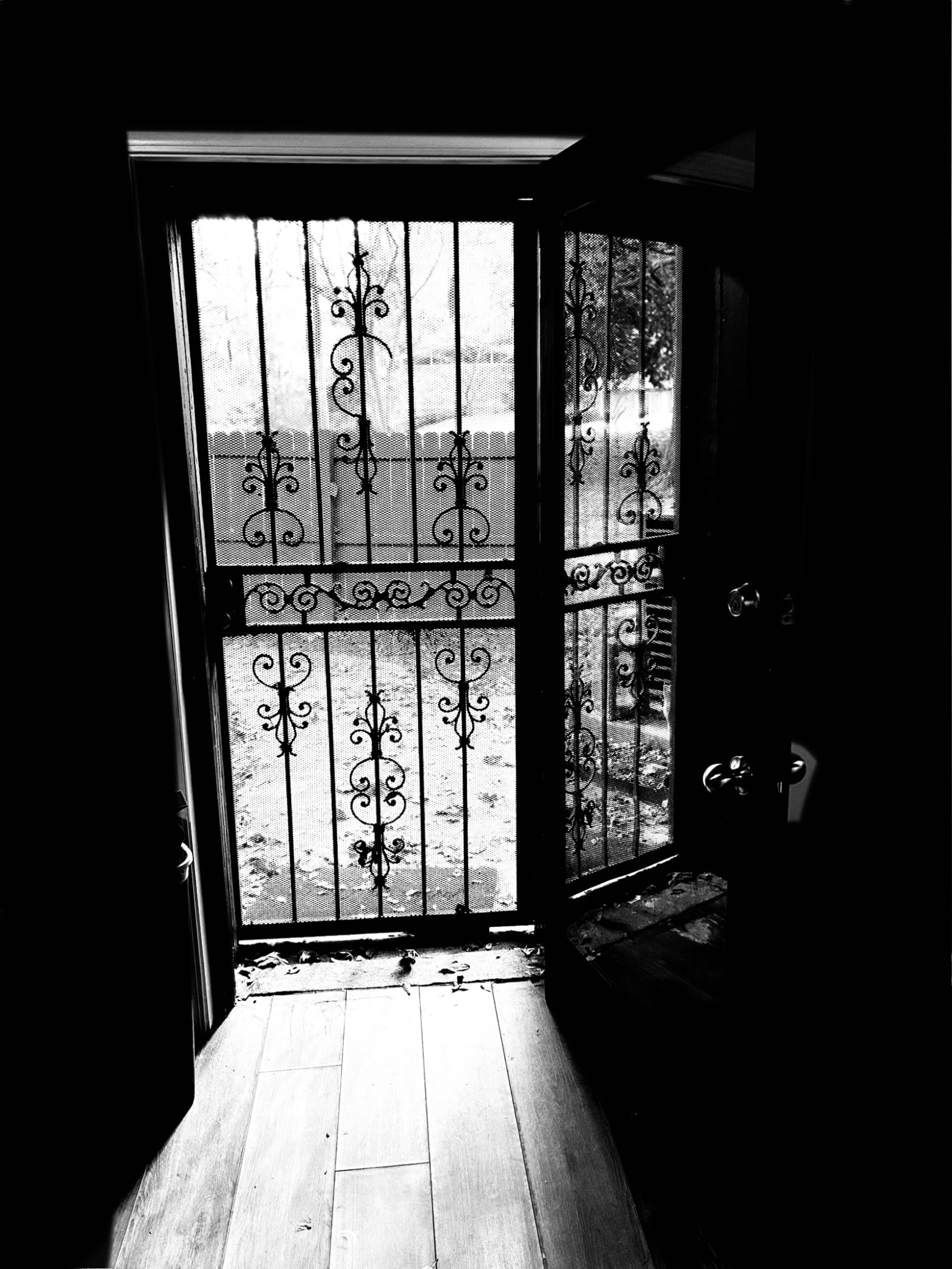 Open door with decorative metal bars leading outside, view of trees and outdoor area, wooden floor inside.