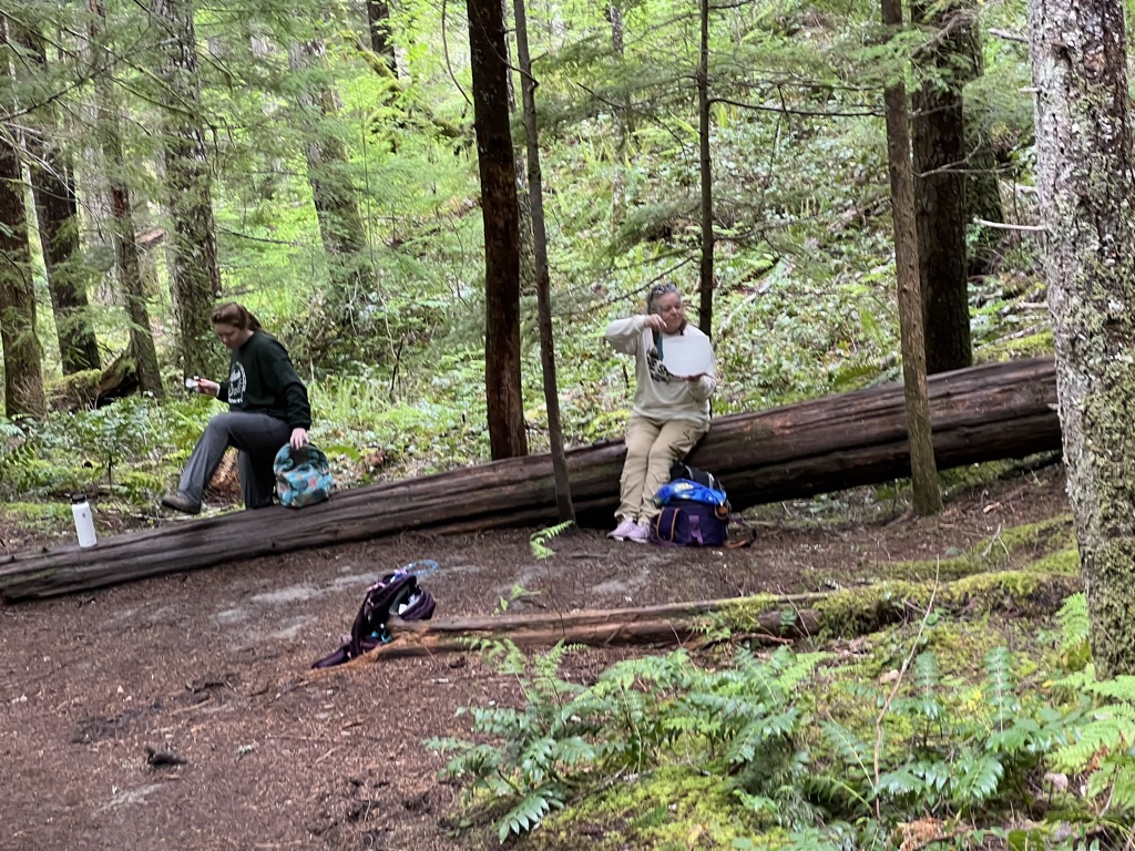 Two people in a forest, one sitting on a fallen log and the other standing, surrounded by trees and green foliage.