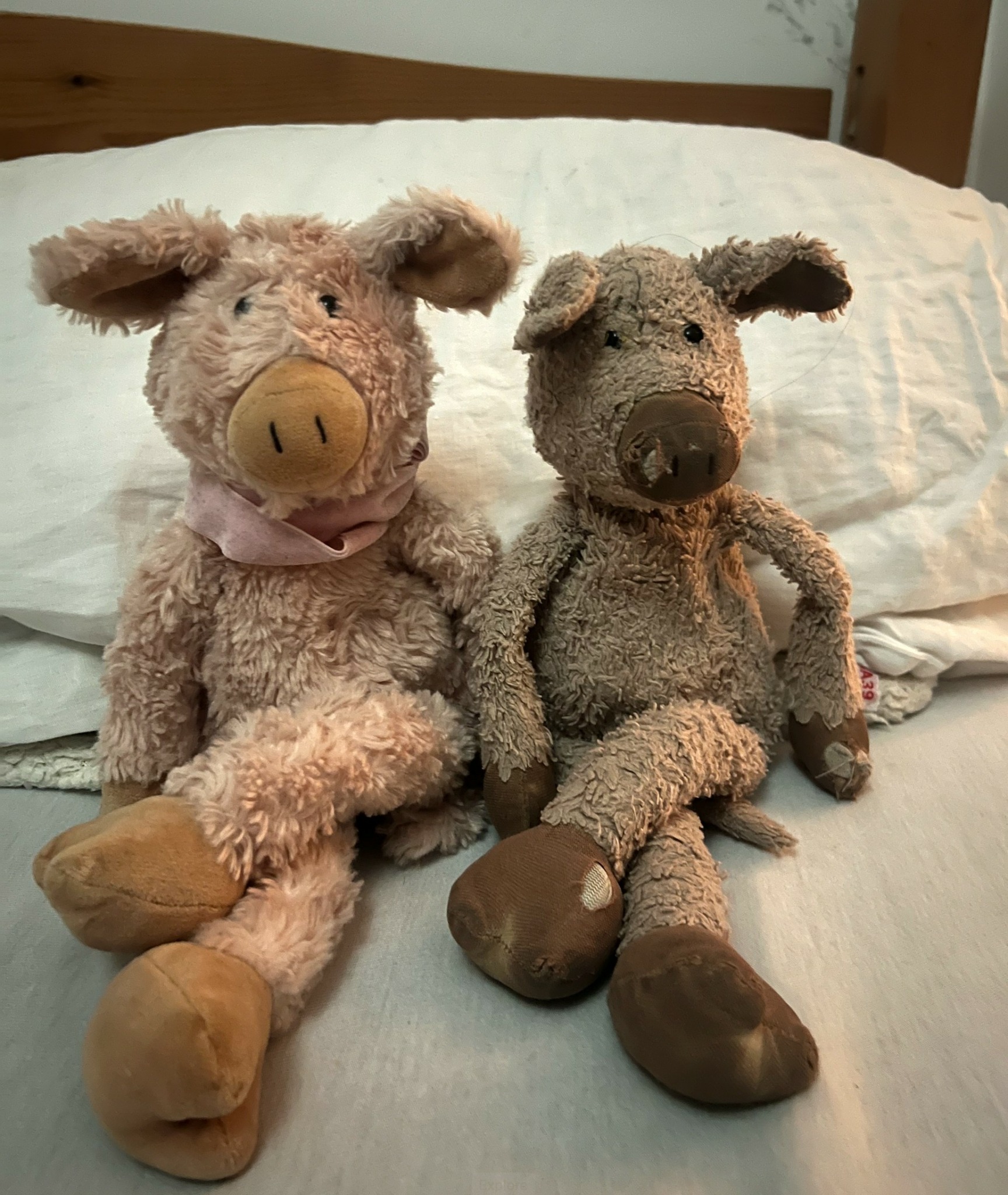 Two plush pig toys sitting on a bed with white sheets and pillows, one with a pink bow, the other plain.